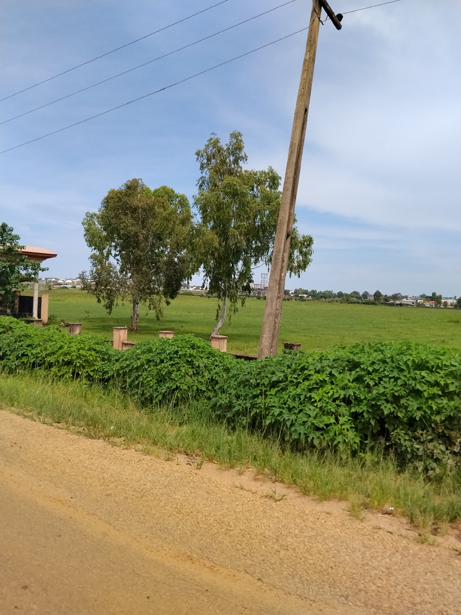 The image depicts a view of a grassy field and a dirt road on a bright, cloudy day in Nabatum, Nigeria. In the foreground, a sandy, dirt road stretches diagonally from the bottom left to the bottom right of the frame. To the right of the road, a patch of green grass meets a dense wall of lush green bushes that extends across the middle ground of the image.
Behind the bushes, the grassy field opens up, revealing several mature trees with light-colored bark and green foliage. A tall, weathered concrete utility pole stands prominently in the middle right of the frame, supporting three dark electrical wires that stretch horizontally across the blue and white cloudy sky. On the far left of the image, a portion of a building with a reddish-brown roof and white columns is visible, partially obscured by trees. In the distance, a scattering of houses with similar rooftops suggests a settled area. The overall impression is a rural or semi-rural landscape.