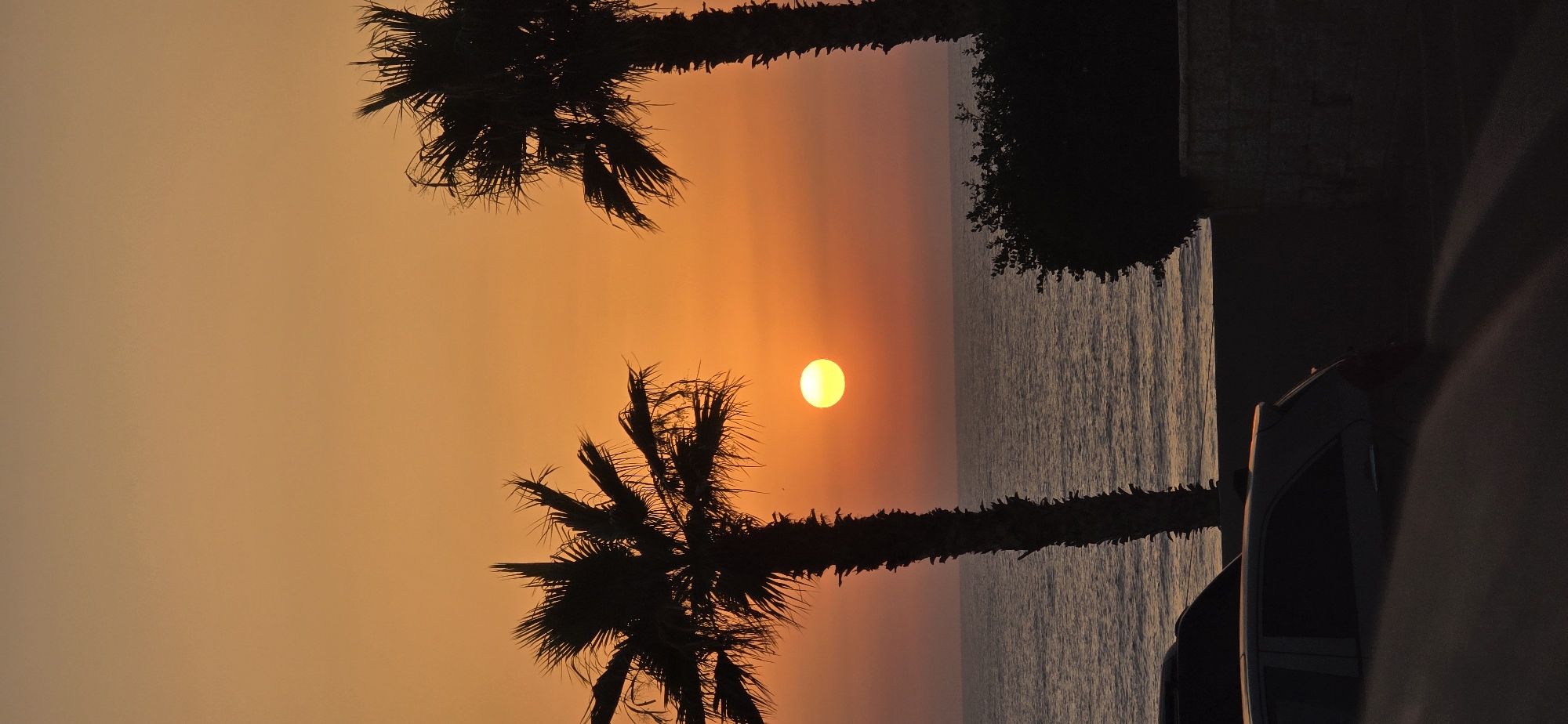 The image depicts a sunset scene at the beach in Bat Yam, Israel. Two silhouetted palm trees stand prominently on either side of the frame, framing a bright, round sun descending towards the horizon. The sun casts a warm, orange glow across the sky, which transitions to a lighter yellow near the sun and fades to a soft peach at the top. The sea, visible in the middle ground, is calm with gentle waves reflecting the sunset colors. In the foreground, the dark silhouettes of two cars are parked on a paved area, with one car's rear visible and the other partially obscured. A low stone wall and dark green foliage are also present in the foreground on the right side. The overall impression is one of tranquility and natural beauty at the end of the day.