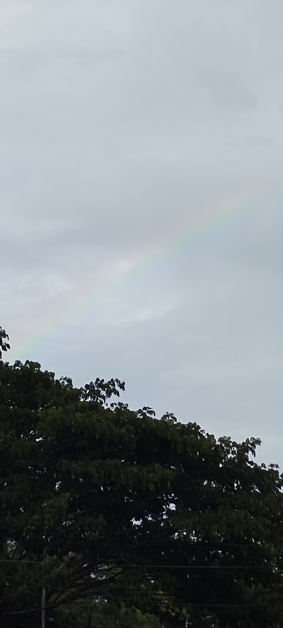 A faint rainbow arcs across an overcast sky above the dark green canopy of a large tree. The tree's branches and leaves fill the lower half of the frame. The sky is a uniform pale gray, with no discernible clouds other than those contributing to the overcast conditions that likely created the rainbow. The overall scene suggests a recent or impending rainfall. The image was taken in the city of Lhokseumawe, Indonesia.