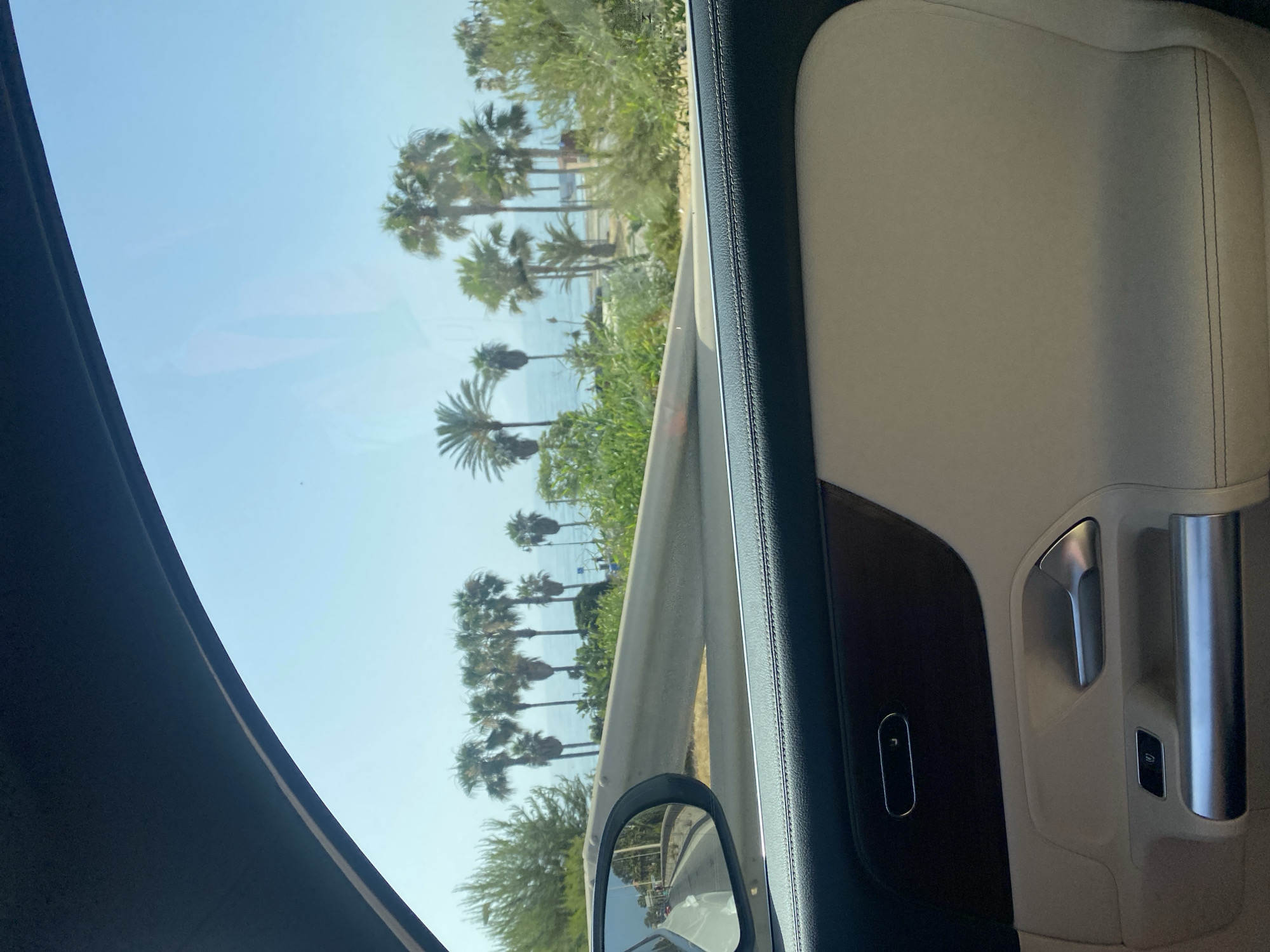 The image, taken from inside a vehicle, shows a view through the passenger window. The foreground features the interior of a car door, with a dark leather-covered panel at the top, a cream-colored section below, and a metal door handle. Through the window, a bright blue sky is visible above a line of palm trees and lush green vegetation. The palm trees are silhouetted against the sky and a body of water, likely the sea, in the background. A road is visible in the side mirror on the left, showing cars traveling along it. The scene suggests a location in Estepona, Spain, known for its coastal scenery and palm-lined streets.