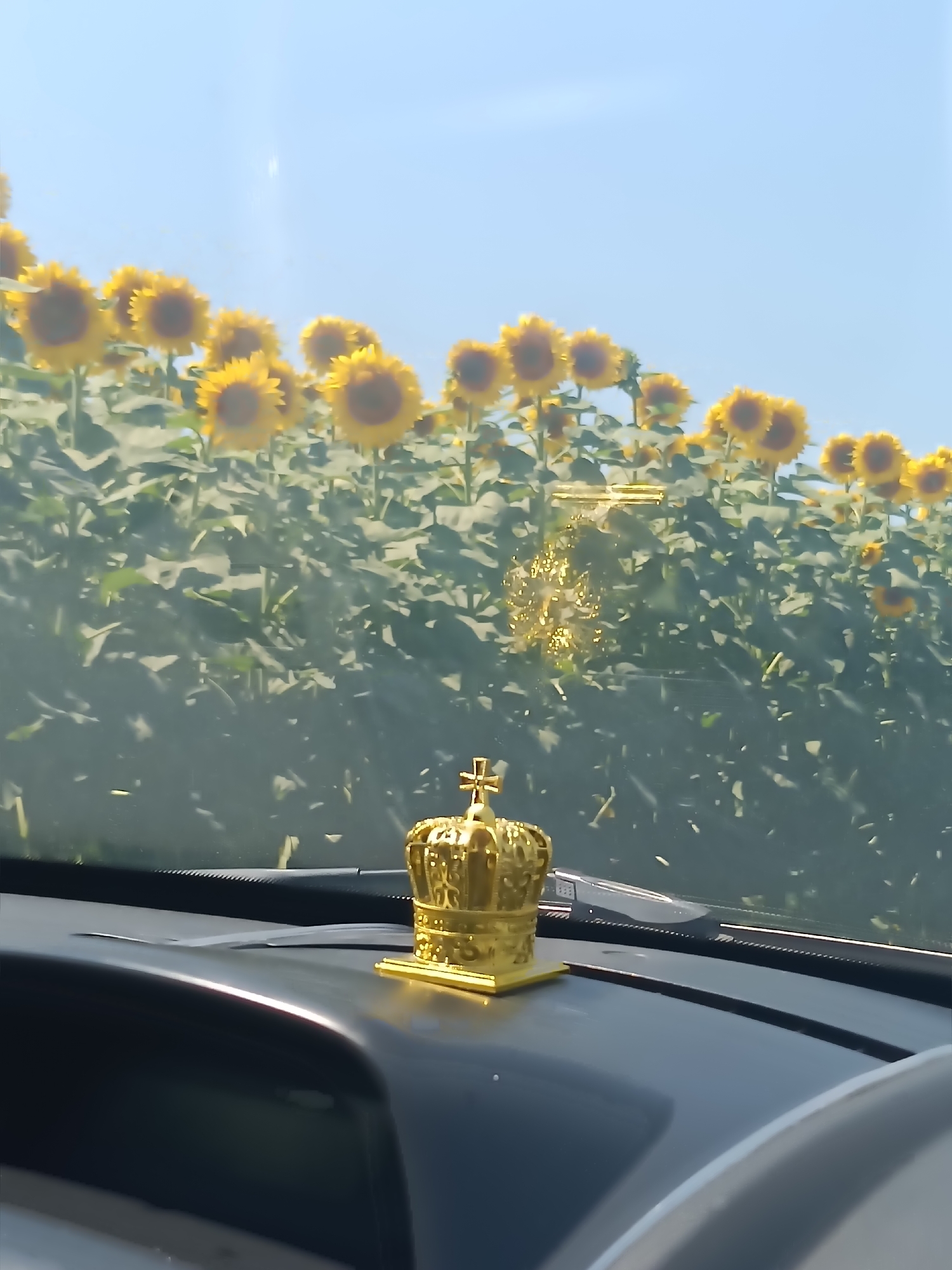 In Fundurii Vechi, Moldova, a golden crown ornament is positioned on the dashboard of a car. The ornament is intricately detailed, featuring a cross at its apex. Through the car's windshield, a vast field of sunflowers stretches towards a clear blue sky. The sunflowers are in full bloom, their yellow petals vibrant against the green foliage. The scene appears to be captured on a bright, sunny day.