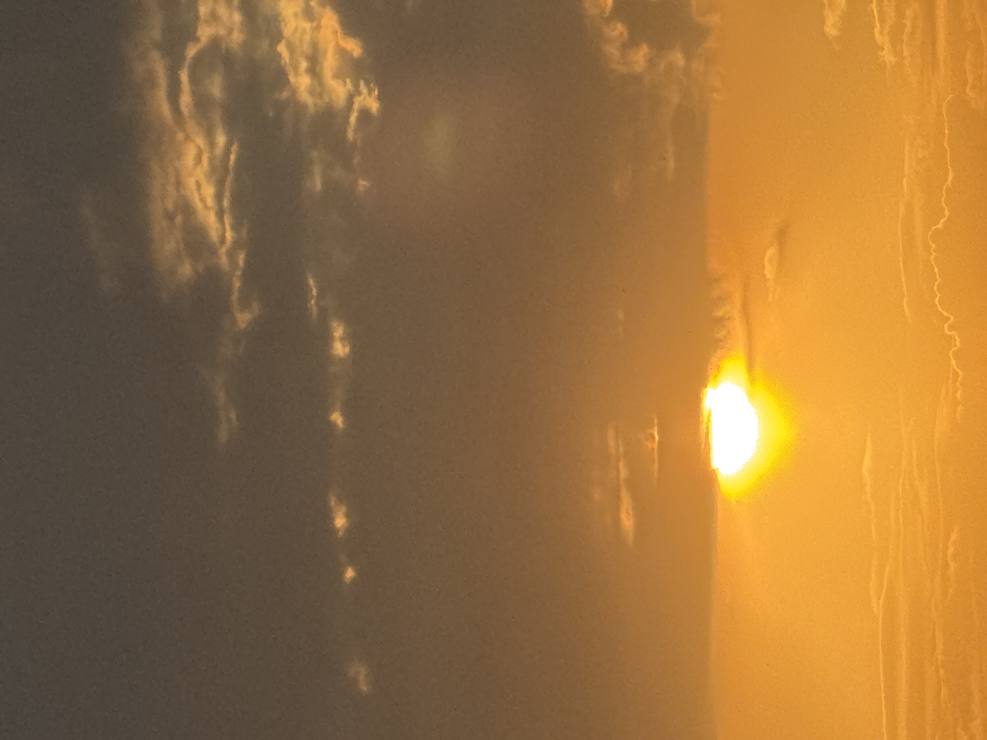 The image depicts a sunset over Bishkek City, Kyrgyzstan. The sun, a bright, glowing orb, is partially obscured by a cloud band near the horizon, casting a warm, golden-orange light across the sky. wispy clouds are scattered throughout the upper portion of the frame, tinged with yellow and orange from the setting sun. The lower half of the image is dominated by a dense layer of clouds that appear to be illuminated from above, creating a textured, undulating surface. The overall scene is atmospheric and serene, capturing the natural beauty of a sunset in Bishkek. There are no people or man-made objects visible in this image.