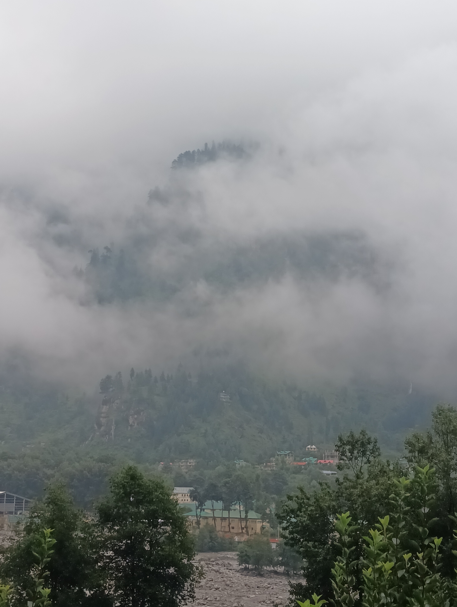 The image captures a misty mountain landscape in Goshal, India. The foreground is dominated by lush green trees, some with visible leaves and branches. Beyond the trees, a village or town is nestled on the slopes of the mountains. Buildings with distinct architecture, including some with green roofs and lighter-colored walls, are scattered across the hillside. A riverbed with large stones is visible in the lower part of the image. The upper portion of the scene is enveloped in thick fog and mist, obscuring the peaks of the mountains. The overall atmosphere is serene and somewhat mysterious due to the dense fog.