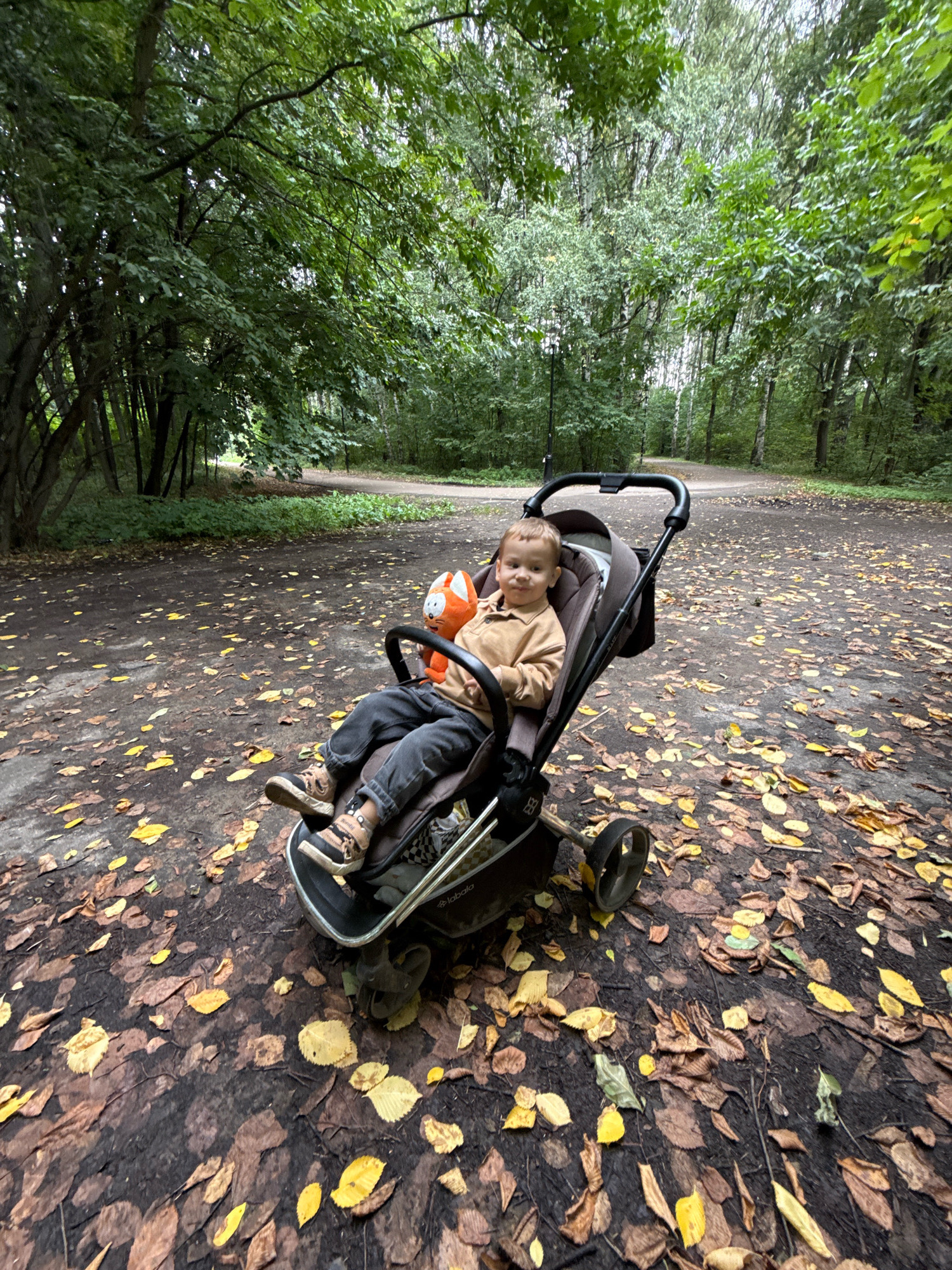 A young boy is sitting in a stroller on a path covered with fallen leaves in a park. The boy is wearing a tan long-sleeved shirt and dark pants. He is holding an orange toy that resembles a fox. The stroller is brown and black. The path is surrounded by trees with green and yellowing leaves, indicating it is autumn. A lamppost is visible in the background. The image appears to be taken in Rusanovo, Russia.