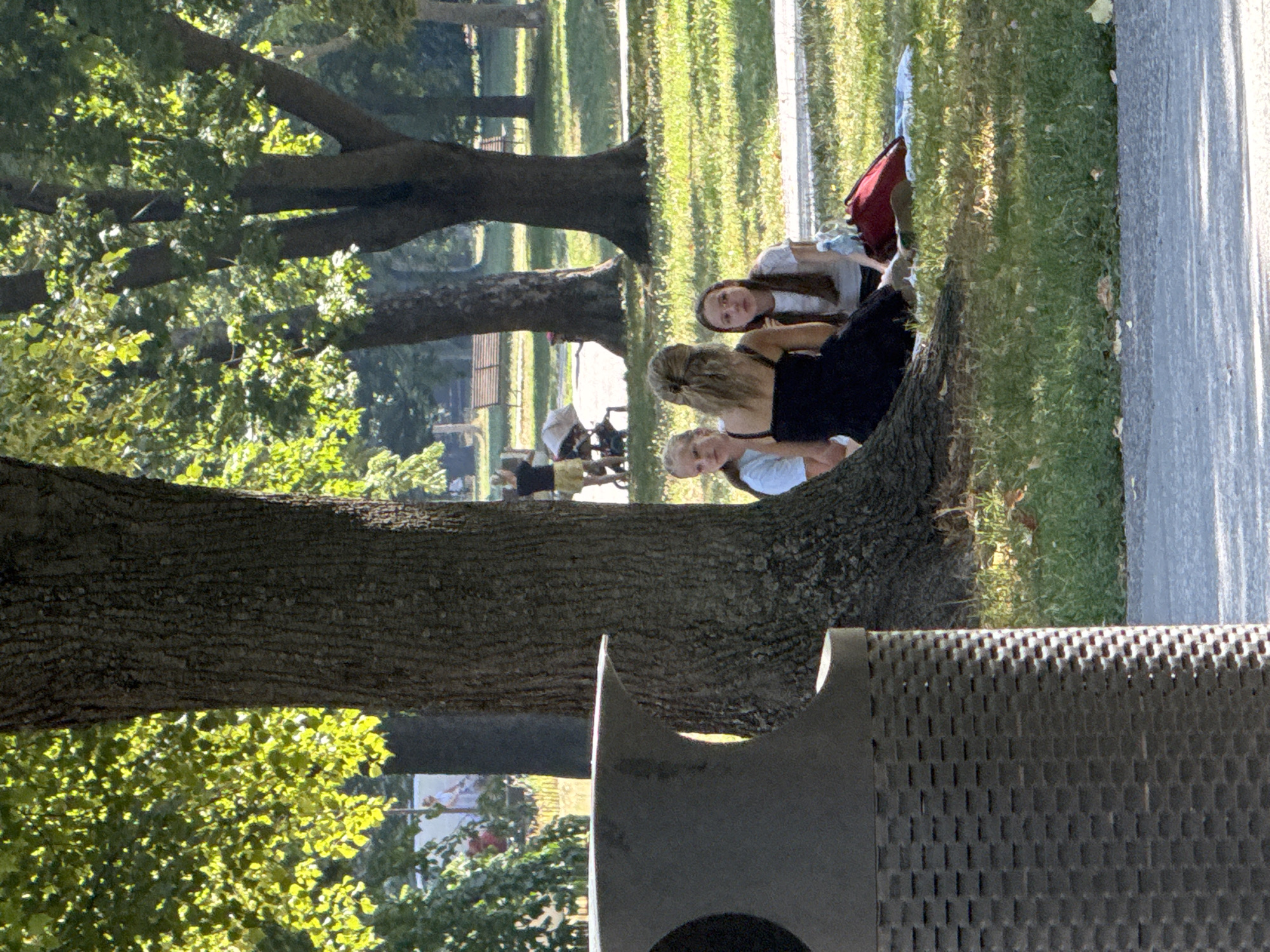 In the city of Bratislava, Slovakia, a group of people are enjoying a sunny day in a park. The foreground is dominated by a large, textured dark grey trash receptacle. Beyond it, a large tree with a rough bark trunk stands prominently. To the right of the tree, three young females are seated on a light-colored blanket on the grass. One female, wearing a black dress, is positioned in the center, facing away from the camera with her back to the viewer. To her left, a female with blonde hair, wearing a light blue shirt, is also seated. To her right, a female with long brown hair, wearing a white t-shirt, is seated and looking towards the viewer. A red bag and a blue and white patterned blanket are visible on the grass near them. In the background, other park-goers can be seen, including a woman pushing a stroller and a person in a white shirt. Benches are visible further in the distance, and lush green trees and grass populate the park setting. The lighting suggests it is daytime with dappled sunlight filtering through the leaves.