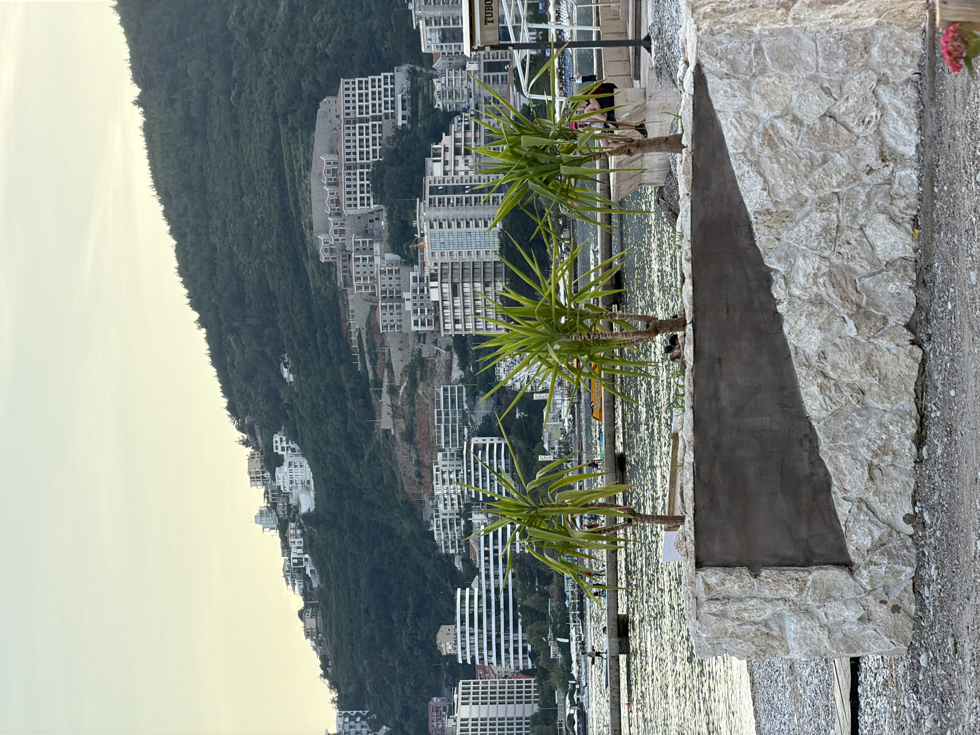 The image depicts a coastal scene in Budva, Montenegro. It features a trio of palm trees planted in a stone planter set on a gravel path. In the background, a hillside is covered with dense vegetation and dotted with modern buildings and houses. The body of water reflects sunlight, creating a shimmering effect. The sky is overcast, providing soft light. The overall scene suggests a developed coastal region with a mix of natural and urban elements.