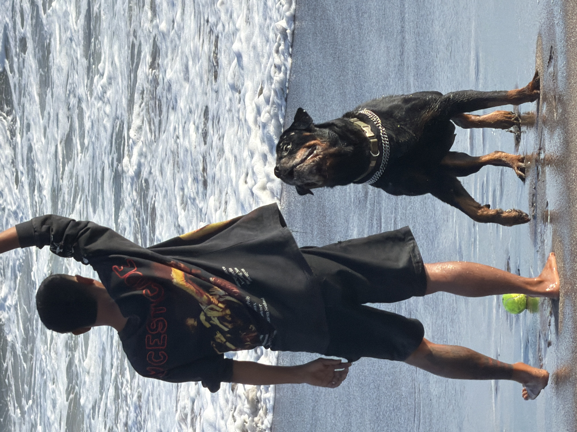 A person with dark hair stands on a beach in North Kuta, Indonesia, facing away from the camera with their right arm raised. They are wearing a black long-sleeved shirt with a graphic print and black shorts. A Rottweiler dog is positioned to the person's right, looking up and slightly to its left, wearing a silver chain collar. A bright green ball lies on the wet sand near the person's feet. The background consists of the ocean with white waves and foam.