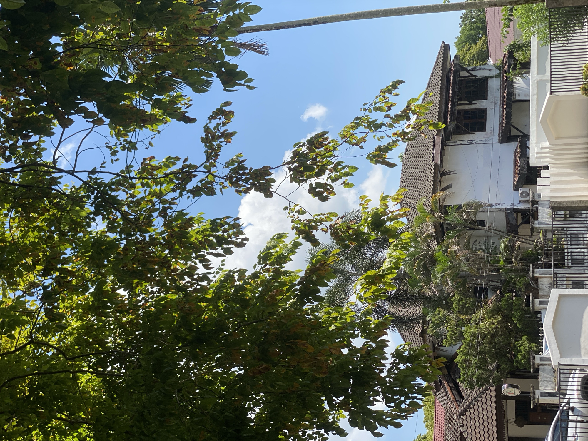 This is an exterior, daytime, eye-level shot of a white, two-story house with a brown tiled roof, located in Banjarbaru, Indonesia. The house appears somewhat weathered, with some peeling paint and exposed wooden beams under the eaves. The windows have dark wooden frames. The front of the house is partially obscured by a black metal fence and a white decorative wall. Lush green trees and palm trees surround the property, with a large tree in the foreground casting shadows. The sky is a clear blue with scattered white clouds. A tall, thin palm tree stands to the right of the house. A white car is partially visible on the left side of the frame. No people are present in the image.