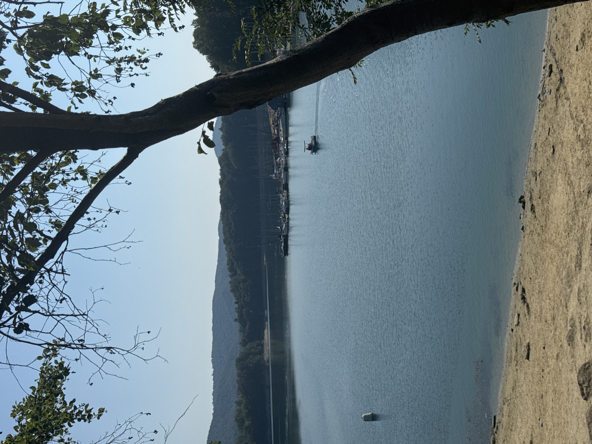 This image depicts a serene waterscape with a sandy shore in the foreground, likely a beach area near a body of water. A large tree trunk dominates the right side of the frame, its branches extending across the top portion of the image, partially obscuring the view of the sky and distant landscape. The sky is a clear, pale blue, suggesting fair weather.
The body of water itself is a calm, blue expanse, with gentle ripples on its surface. In the distance, a cluster of sailboats and a small motorboat are visible, suggesting a marina or a recreational area. The shoreline opposite the sandy beach is lined with dense, green trees and rolling hills, creating a natural backdrop. There is a white buoy with a black object on top in the water to the left of the frame.
The scene appears to be a natural landscape, potentially a lake or a large reservoir, with signs of human activity in the form of boats and a marina. The lighting suggests it is daytime, with the sun casting a gentle illumination on the scene. The overall impression is one of tranquility and natural beauty, with a hint of leisure activity. While the prompt mentions Polańczyk, Poland, this specific image does not contain any explicit visual cues that definitively place it in that city. However, if this is indeed Polańczyk, it captures the typical scenic beauty associated with that region, known for its natural landscapes and proximity to water bodies like Lake Solina.
