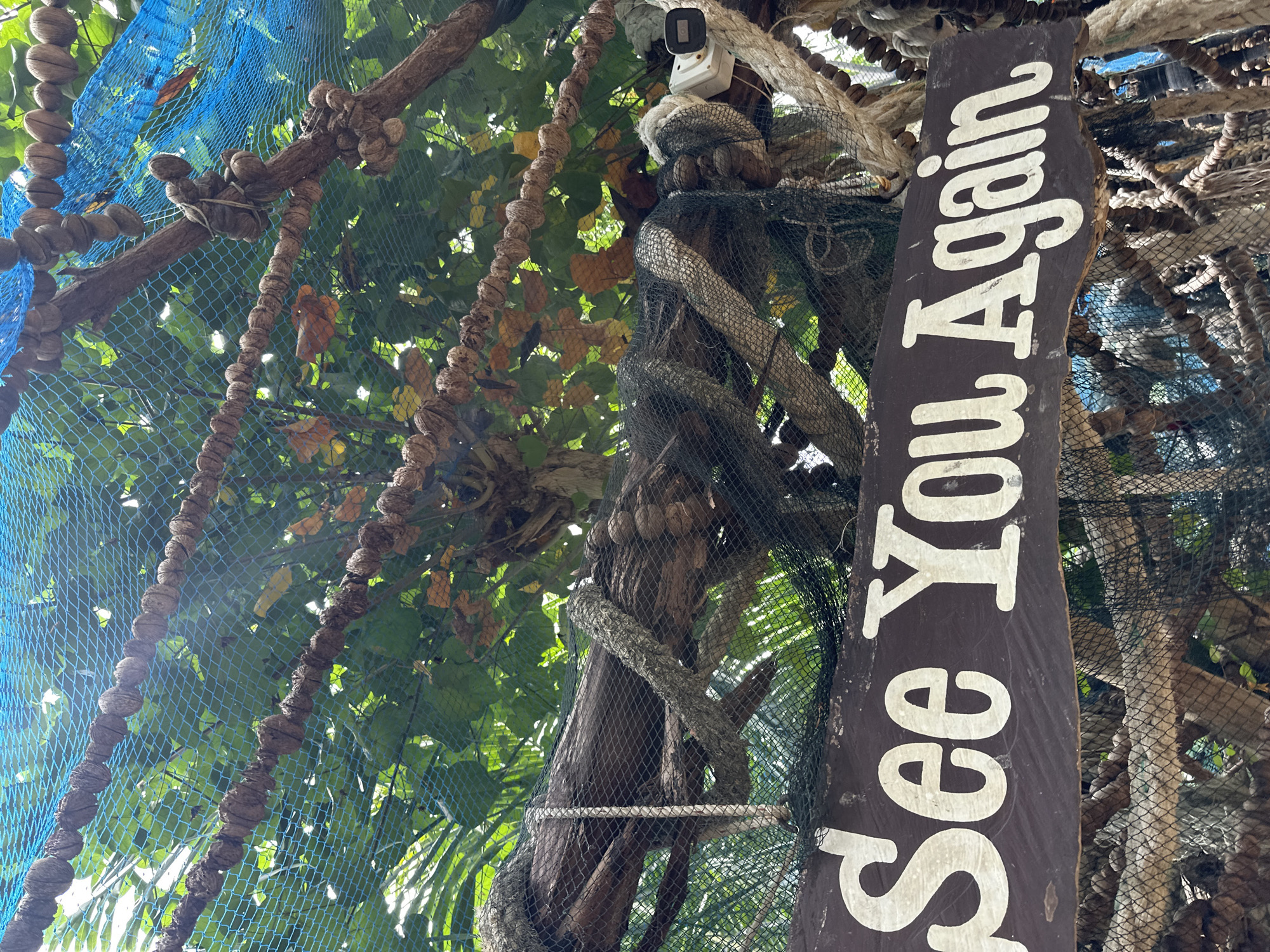 The image shows a wooden sign with white text that reads "See You Again". The sign is hanging from a tree branch, which is wrapped in rope and netting. Behind the sign, there are green leaves and some blue netting. The scene appears to be outdoors in a tropical environment, likely a park or a tourist attraction in Koh Phangan, Thailand. There are no people visible in the image.