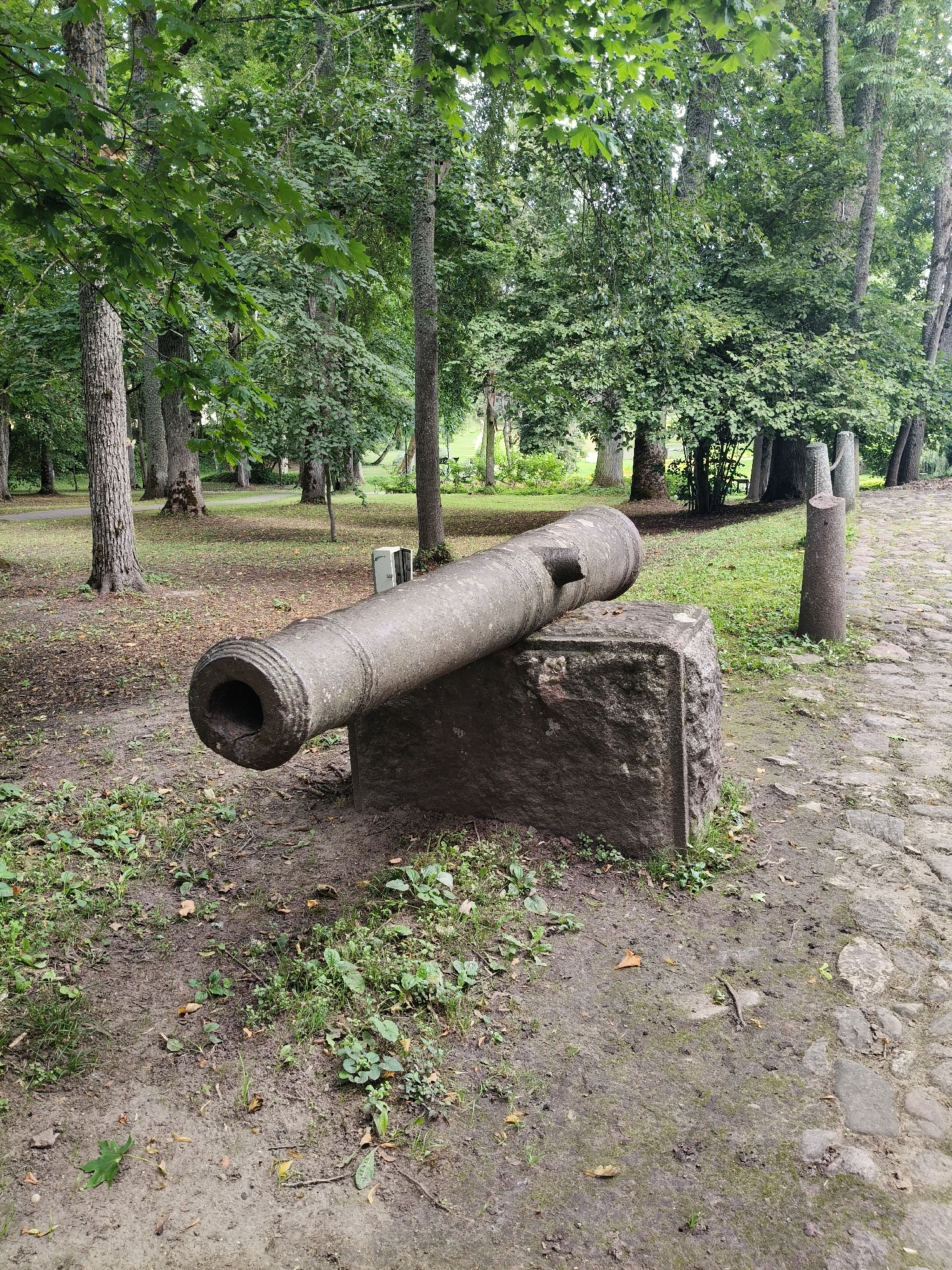 The image shows a close-up view of an old cannon resting on a stone block in a park setting in Koknese, Latvia. The cannon is made of weathered stone or metal and points to the left of the frame. The stone block beneath it is rough and rectangular. The ground around the cannon is a mix of soil, grass, and fallen leaves, with a cobblestone path visible to the right. In the background, a line of trees with lush green foliage creates a natural backdrop, with some of the trees appearing to be quite old. The overall atmosphere is peaceful and historical.