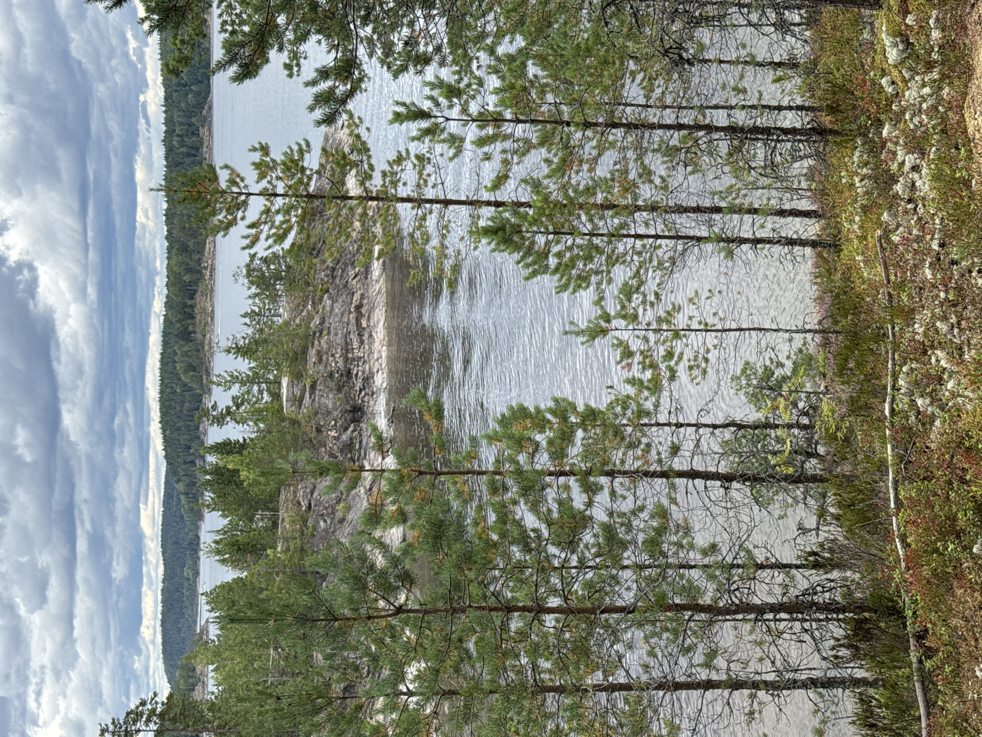 This image depicts a natural landscape near Sorola, Russia, featuring a tranquil body of water bordered by a lush forest. The foreground is characterized by a rocky embankment covered with low-lying vegetation, including mosses and small shrubs. Several slender pine trees with sparse foliage are scattered across this area, leading down towards the water.
The water itself is calm, with gentle ripples reflecting the overcast sky. In the mid-ground, the opposite shore is densely forested with a variety of coniferous trees, forming a continuous green band that stretches towards the horizon. The sky above is a canvas of dramatic, dark gray clouds, suggesting a moody, possibly impending weather event.
The overall impression is one of a remote, untouched wilderness, typical of the northern boreal regions. There are no people or man-made structures visible in the image, emphasizing the natural and isolated character of the location. The lighting is diffuse due to the cloudy conditions, creating soft shadows and muted colors throughout the scene.