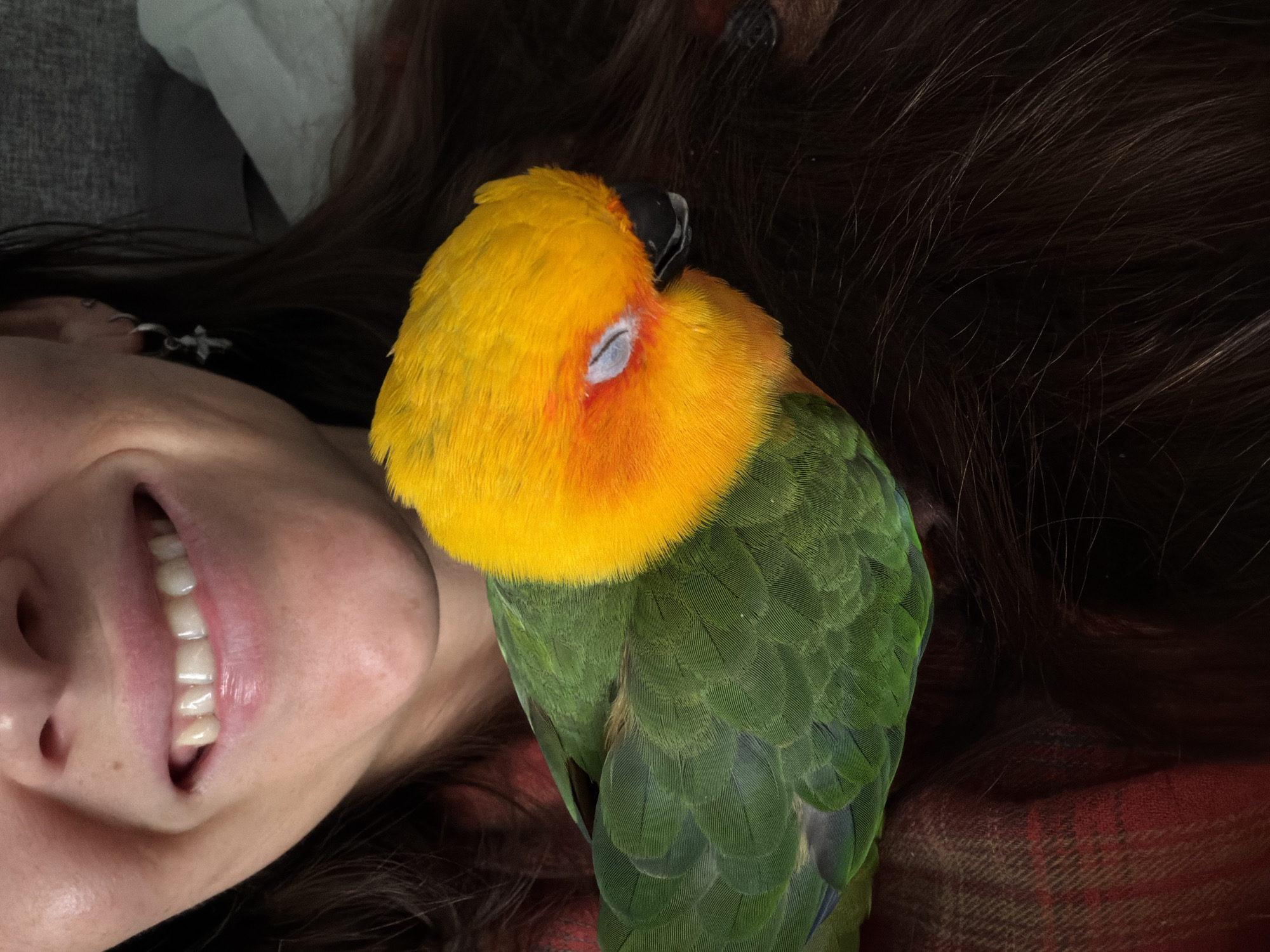 The image portrays an intimate and peaceful moment between a person and a vibrant parrot in an indoor setting, likely in Khimki, Russia.
The primary subjects are a partially visible person and a colorful pet bird. The person, appearing to be an adult female, is lying down with her dark brown hair spread out. Her face is visible from her wide, joyful smile, which reveals white teeth, up to her ear adorned with a small, star-shaped earring. Her expression clearly conveys happiness, comfort, and affection.
Nestled closely against the person's head, partially obscured by her hair, is a parrot, possibly a sun conure. The bird is characterized by its bright yellow head, which blends into an orange-red around its eyes and upper chest, and vibrant green plumage covering its body and wings. Its beak is black, and its eye is gently closed, suggesting it is either sleeping deeply or very relaxed and content.
The setting appears to be a cozy domestic environment, possibly a bed or sofa. Parts of a white fabric, potentially a pillow or blanket, are visible in the upper background, alongside a reddish-brown patterned fabric in the lower right. The overall atmosphere of the image is one of warmth, trust, and a strong bond between the human and her avian companion.
No visible text is present in the image. The time of day and weather are not discernible from the indoor scene.
