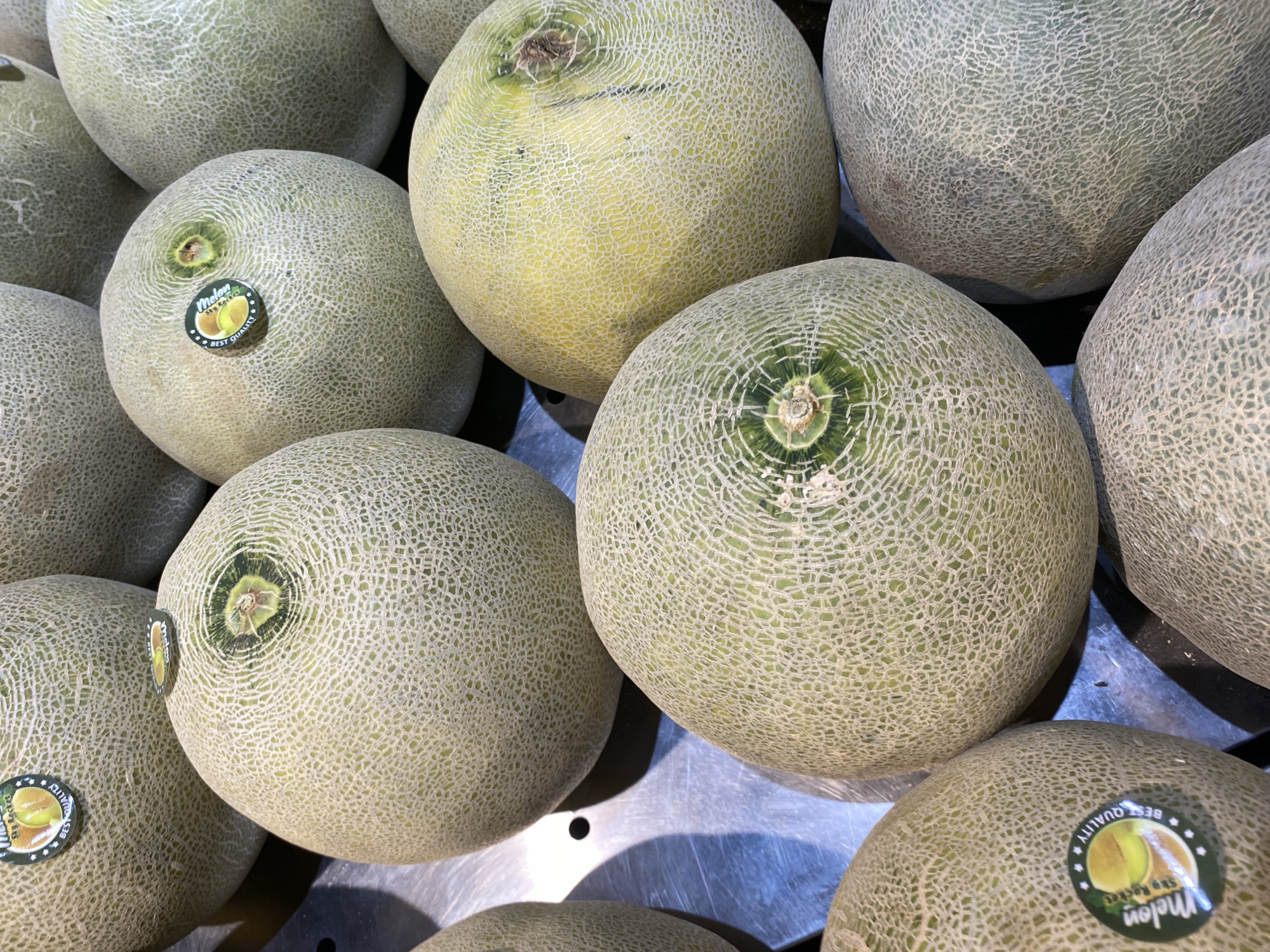 A close-up, overhead view showcases a large display of cantaloupe melons. The melons are round to oval-shaped and exhibit the characteristic netted rind of this fruit, primarily in shades of pale green and light yellow. Several of the melons feature round, green and yellow stickers, indicating they are branded or certified. One sticker in the lower left corner reads "Melon BEST QUALITY." The melons are arranged in a densely packed manner on a metallic surface, likely a display shelf in a market. The lighting suggests an indoor environment, possibly a grocery store or a produce market. The image focuses entirely on the melons, with no people or other objects clearly visible. The context of Banda Aceh, Indonesia, implies this is likely a scene from a local market or supermarket where such produce is sold.