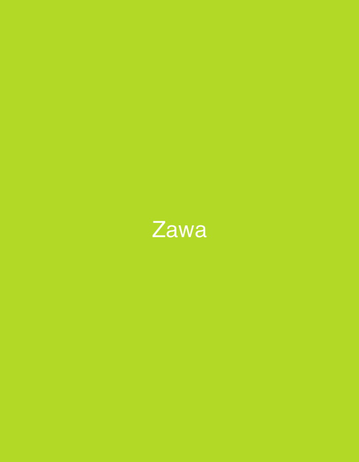The image displays the word "Zawa" in white, sans-serif text, centrally located against a solid, vibrant lime green background. There are no other visible subjects, objects, people, actions, or environmental details. The provided image does not contain any visual information to determine a specific location within the city of Casablanca, Morocco, or any other geographical area.