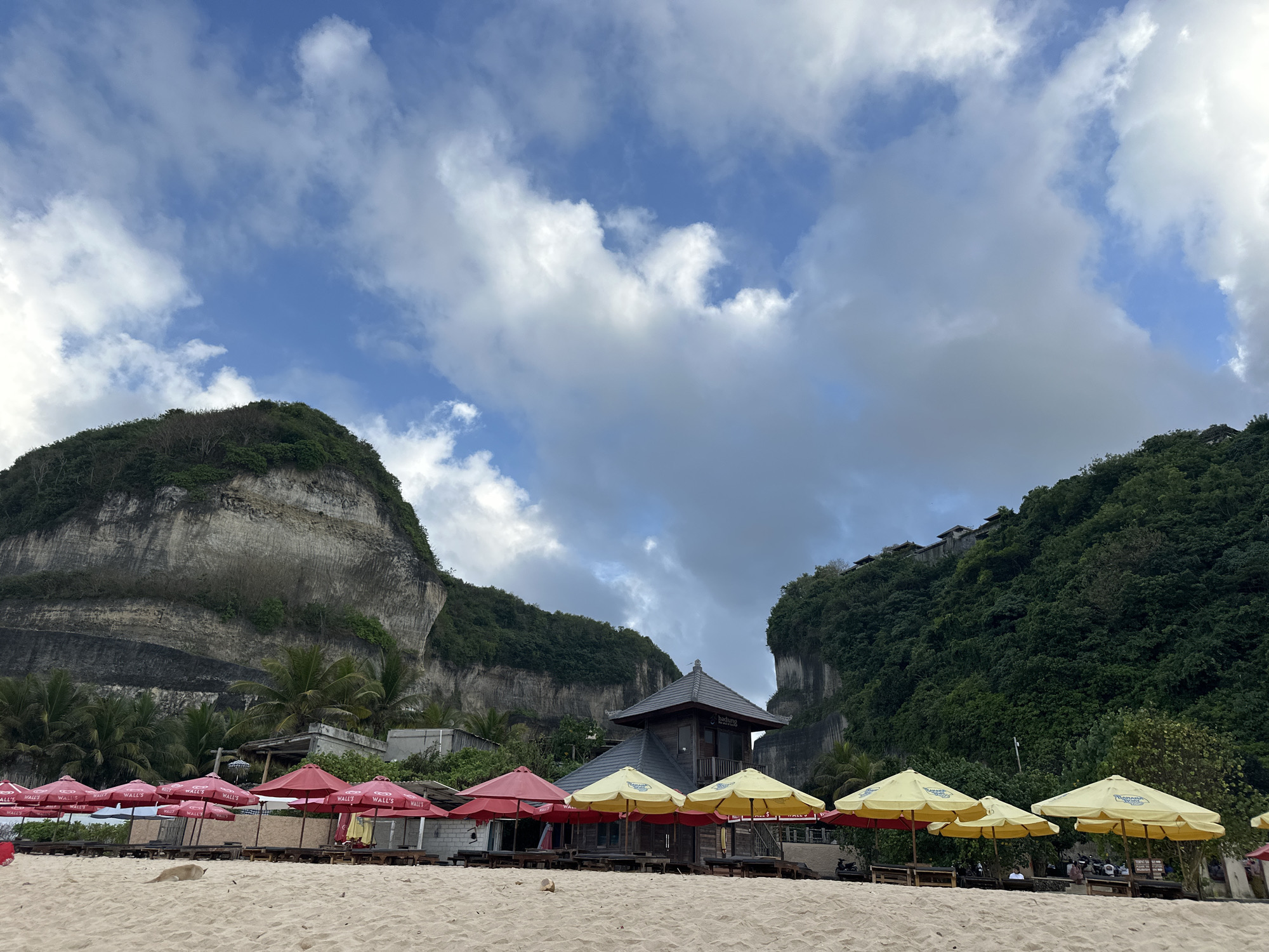 The image depicts a beachfront scene in Kuta Selatan, Indonesia, featuring a sandy shore lined with numerous red and yellow umbrellas. Behind the umbrellas, there is a building with a dark roof, and further back, lush green cliffs rise dramatically. The sky above is a mix of blue and white clouds. The sand is clean and appears to be a light beige color. In the foreground, a light-colored cat is lying on the sand. The overall impression is a tropical resort setting.
