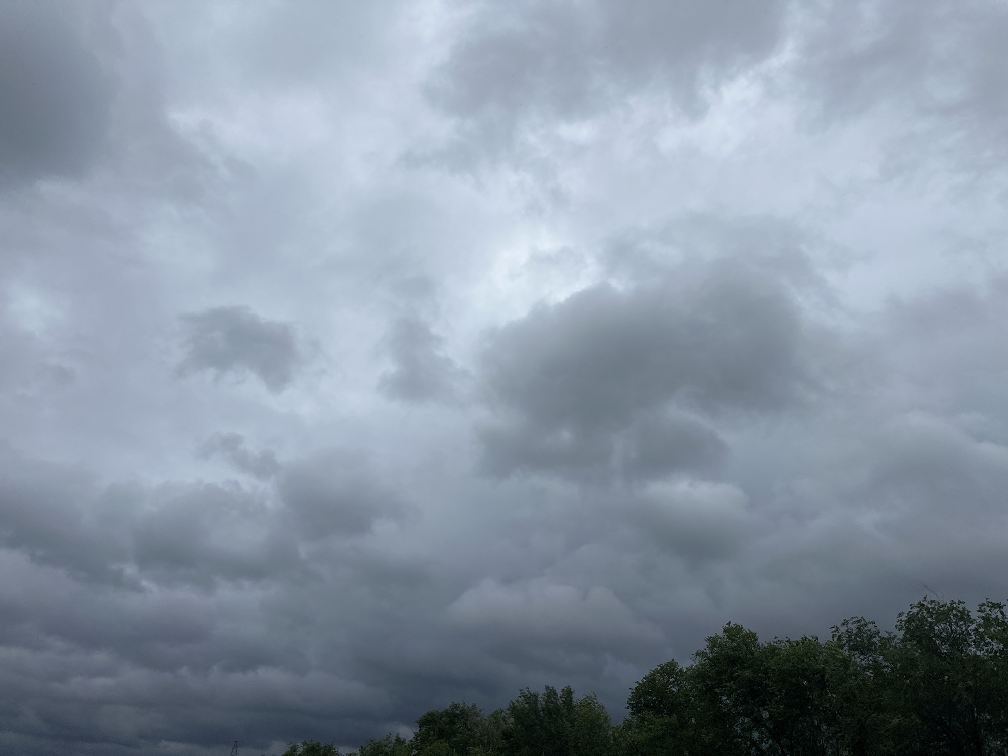 The media file displays a cloudy sky over a line of trees. The sky is filled with a variety of gray clouds, ranging from light and wispy to dark and heavy. There is a patch of brighter sky visible in the upper center of the image, suggesting that the sun might be trying to break through. The clouds create a sense of an overcast or impending stormy weather.
The bottom of the image is dominated by a dense line of dark green trees, their foliage appearing lush. The trees are silhouetted against the lighter sky, with some lighter patches of foliage visible where the light catches them. The scene is static, with no people or specific objects identifiable beyond the natural elements of sky and trees.
The time of day is difficult to determine precisely due to the overcast conditions, but the general lighting suggests it could be daytime, possibly late afternoon or evening as the clouds are quite dark. The weather is clearly cloudy, with the possibility of rain given the heavy cloud cover. There are no discernible location cues in the image, such as landmarks or signs, and no visible text. The overall mood conveyed by the image is somewhat somber and moody, typical of an overcast day.