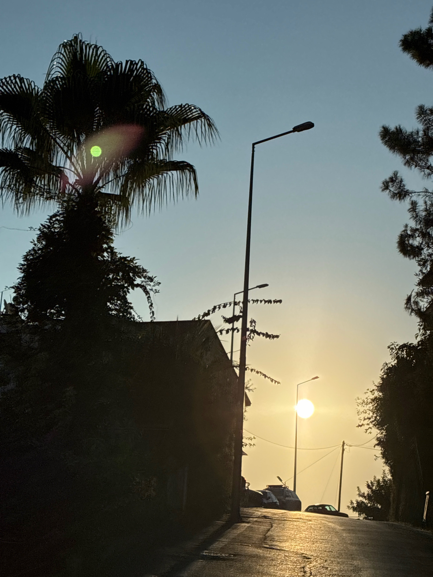 The image depicts a street scene in Alanya, Turkey, at sunset. A paved road slopes upwards, with silhouetted trees and vegetation lining its sides. Several streetlights are visible, some illuminated by the fading sunlight. In the distance, a car is parked on the side of the road, and another vehicle appears to be driving up the incline. The sky is a gradient of pale blue to yellow, indicating the sun is low on the horizon. A palm tree with a bright green lens flare is prominent on the left side of the frame. The overall impression is that of a quiet, residential street during the golden hour.