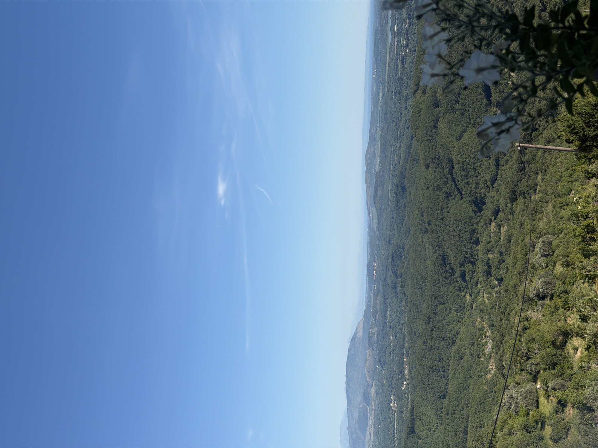 The image captures a sweeping vista of a verdant, hilly landscape under a clear blue sky with a few wispy clouds. In the foreground, out of focus, are white flowers on a green bush, with a wooden post and some darker foliage visible on the left. The middle ground is dominated by a dense forest of dark green trees covering rolling hills. In the distance, a range of lighter, more muted mountains forms the horizon, with hints of human settlements, including small clusters of buildings, scattered throughout the landscape. The overall impression is one of a tranquil, natural environment, possibly from a viewpoint overlooking the town and surrounding countryside of Braiša - Brajsh, Montenegro.