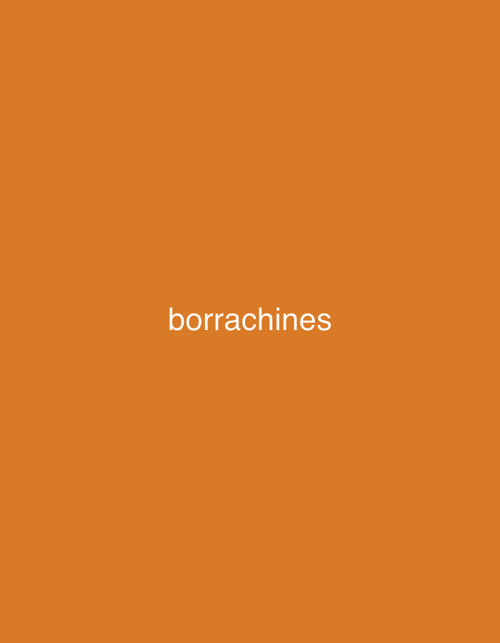 The image shows the word "borrachines" written in white text on a solid orange background. There are no people, objects, or environmental details present in the image. The location of Santa Ana, Venezuela, is not depicted or implied in any way by the visual content of the image.