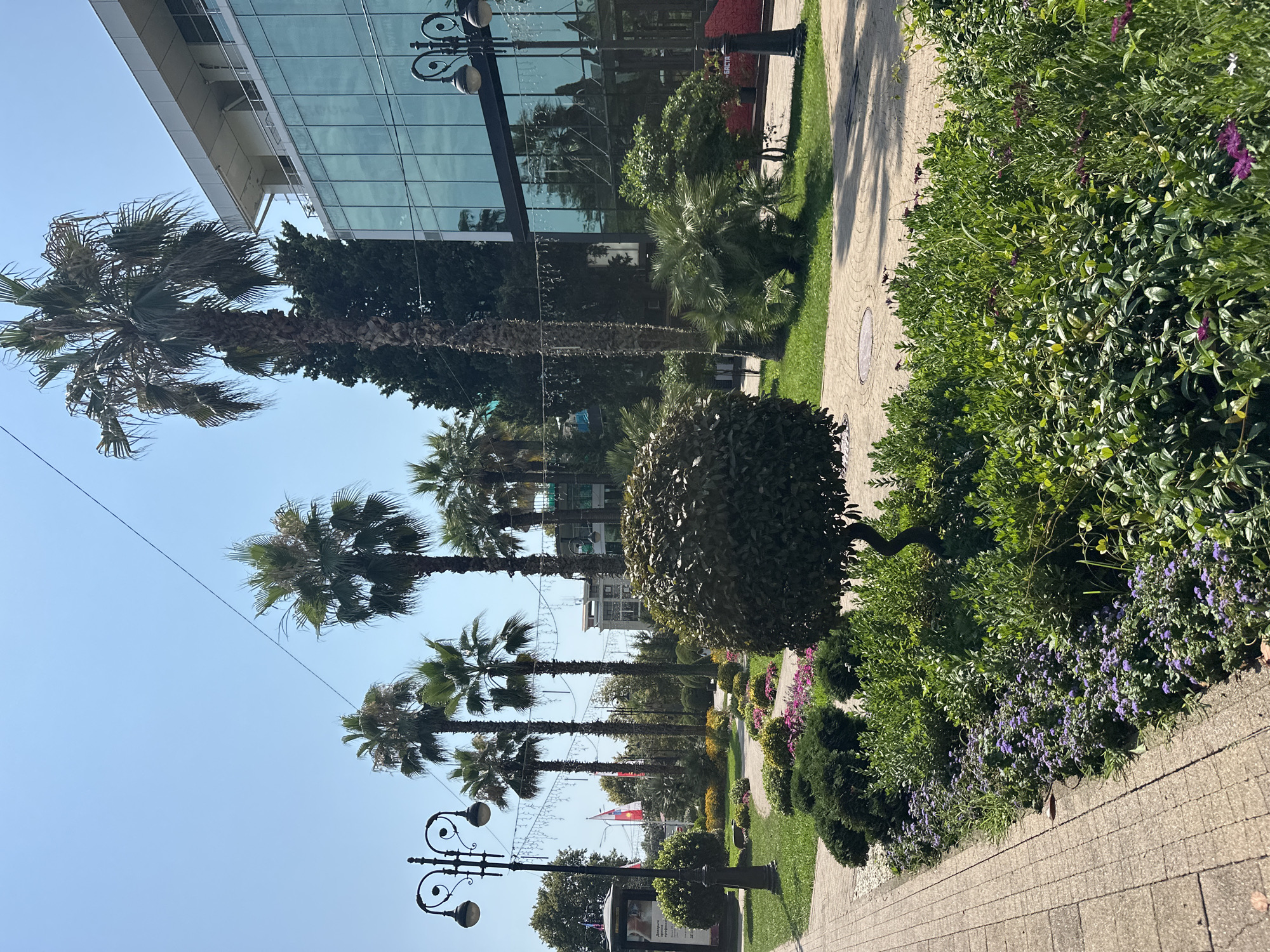 This image depicts a sunny day in a city park area with a modern glass-fronted building. The park features a paved walkway on the left, lined with meticulously maintained flower beds and manicured shrubs, including a round, topiary-like bush with a twisted trunk. Several tall palm trees are interspersed with other greenery. In the background, a multi-story building with a white upper facade and reflective glass panels dominates the scene. Decorative streetlights with multiple globes are visible on the left and right sides of the image. Flags, possibly national or regional, are planted in the background near the park's entrance. The sky is clear blue, suggesting pleasant weather. Based on the architectural style and the presence of palm trees, this scene is likely located in Sochi, Russia, a city known for its subtropical climate and resort atmosphere.