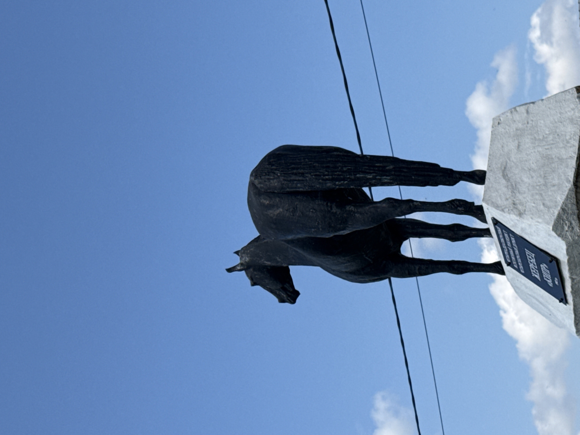 A dark, textured statue of a horse stands on a white stone pedestal against a bright blue sky with scattered white clouds. The horse is facing away from the viewer, with its head turned to the left. A dark plaque is affixed to the front of the pedestal, with Russian text visible. Two dark electrical wires stretch horizontally across the frame in front of the horse. The scene appears to be outdoors, possibly in an open area or park.