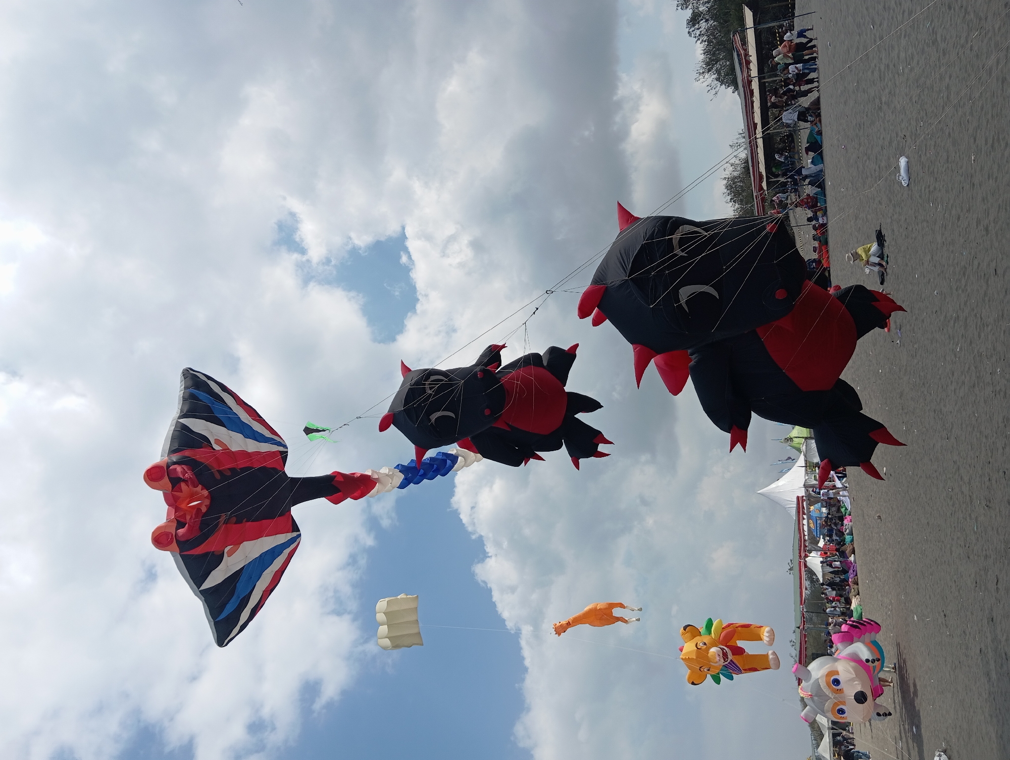 In Parangtritis, Indonesia, an outdoor event features a fleet of large, elaborate kites in the sky above a sandy beach. Dominating the scene are two massive, black and red dragon-shaped kites, suspended one above the other. The larger dragon kite is in the foreground, its head and upper body visible, while the second dragon kite is positioned higher and further back. A third kite, resembling a manta ray with black, red, and blue stripes, flies at a higher elevation.
Smaller kites, including a bright orange giraffe, a stylized lion, and a cartoonish grey and pink creature, are scattered across the sky. A white, rectangular kite also drifts in the distance.
Below the kites, the sandy beach is populated with numerous people, some gathered under tents and awnings, while others are seated or standing on the sand. Tents and temporary structures are visible, suggesting a festival or organized gathering. A few individuals are visible in the foreground on the beach, one person in a yellow jacket is seated on the sand. The sky is a mix of blue and white clouds.