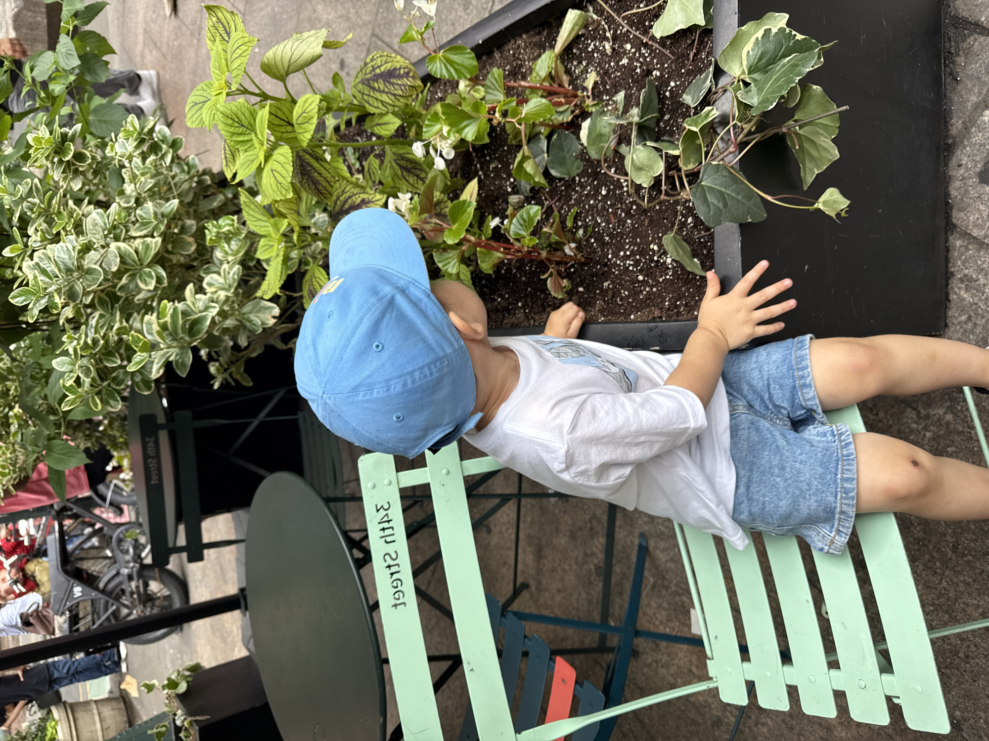A young child wearing a blue baseball cap and denim shorts sits on a light green metal chair. The child is facing away from the camera, looking towards a planter filled with various green plants. The child is wearing a white t-shirt. The scene appears to be outdoors, possibly on a sidewalk or patio, given the presence of a stone-like ground and the outdoor furniture. In the background, there are other metal chairs and a dark colored table. A bicycle is also visible in the background. The overall setting suggests a public outdoor space, potentially a cafe or park area. There is some text visible on the back of the light green chair, which appears to be "34TH STREET" written backwards. The lighting suggests it is daytime, but the weather is not explicitly discernible. The child's posture and focus on the plants suggest curiosity or quiet observation.
