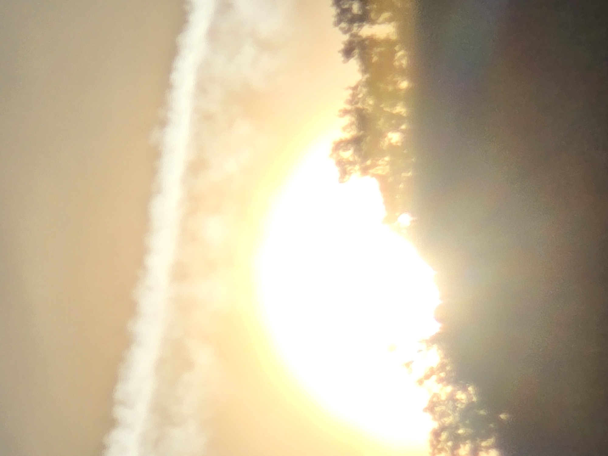A photograph captures a bright, overexposed sunrise peeking from behind a silhouetted tree line. The sun appears as a large, luminous orb, its light washing out the details of the sky. A wispy white cloud streaks diagonally across the upper portion of the frame. The foreground is dominated by the dark, textured silhouettes of trees, their forms softened by the intense light. The overall impression is one of a hazy, early morning scene. This image depicts a sunrise over Podgorica, Montenegro.