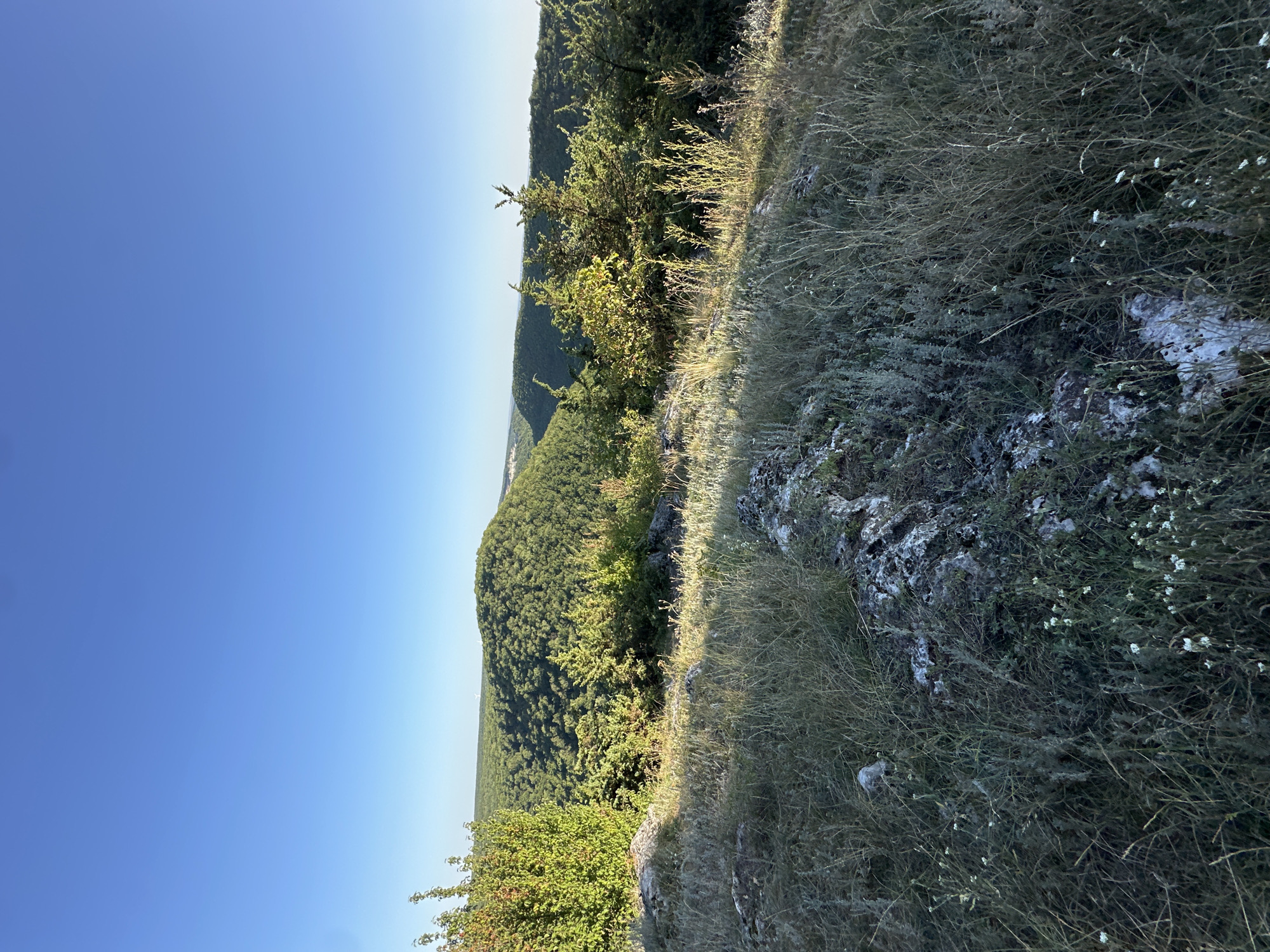 The image depicts a scenic view of rolling, densely forested hills under a clear blue sky. In the foreground, the terrain is rocky and covered with dry grasses and scattered small white wildflowers. Some bushes and trees are visible closer to the viewpoint. In the distance, more forested hills stretch towards the horizon, with a few buildings or structures faintly visible. The sunlight suggests it is either early morning or late afternoon, casting long shadows. The location is identified as Pryvorottia Druhe, Ukraine. There are no people or animals present in the scene.