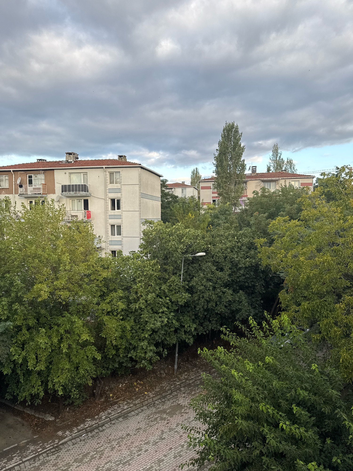 The image captures a view of apartment buildings and dense trees under a cloudy sky in Gungoren, Turkey. In the foreground, a paved area with red and grey bricks and a curb is visible, with a street lamp on the left. A dense canopy of green trees occupies the middle ground, obscuring much of the lower portions of the buildings. Several apartment buildings are visible in the background, characterized by their light-colored facades, red tile roofs, and multiple windows and balconies. One building in the mid-left has a Turkish flag hanging from a balcony. Tall, slender trees stand out among the foliage. The sky is filled with large, grey clouds, suggesting overcast weather.