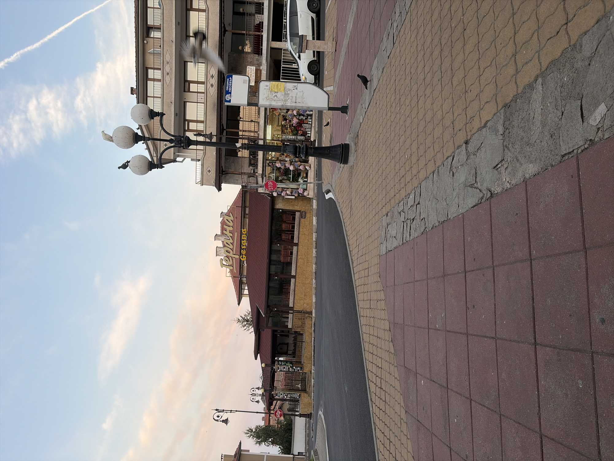 The image depicts a street scene in Sveti Vlas, Bulgaria, during the late afternoon or early evening, as indicated by the warm lighting and soft sky colors. The foreground features a paved sidewalk with two distinct sections: one paved with large, dark red square tiles and another with smaller, wavy yellow interlocking pavers. A strip of cracked concrete separates these two sections.
In the midground, a street curves to the left. On the right side of the street, a multi-story building with beige facade and balconies stands. In front of this building, a shop is visible, filled with displays of flowers and other merchandise. A white minivan is parked to the right of the shop.
To the left of the shop and across the street from the building, there is a restaurant with a red-tiled roof and large glass windows. A prominent sign above the restaurant reads "Герана Gerana" in yellow lettering. The restaurant appears to be open, with tables and chairs visible through the windows.
A tall, black lamppost with three globes stands on the sidewalk near the shop. A black pigeon is perched on the lowest globe, and a white bird is perched on the middle globe. Another bird is in flight, blurred due to motion, in the upper right portion of the image. Several other pigeons are visible on the ground near the lamppost and sidewalk. A red "STOP" sign is positioned on a pole near the entrance to the restaurant.
The sky is a pale blue with soft pink and orange hues, suggesting either sunrise or sunset. wispy clouds are scattered across the sky, and a contrail is visible in the upper right corner. The overall atmosphere is calm and typical of a small town or resort area.