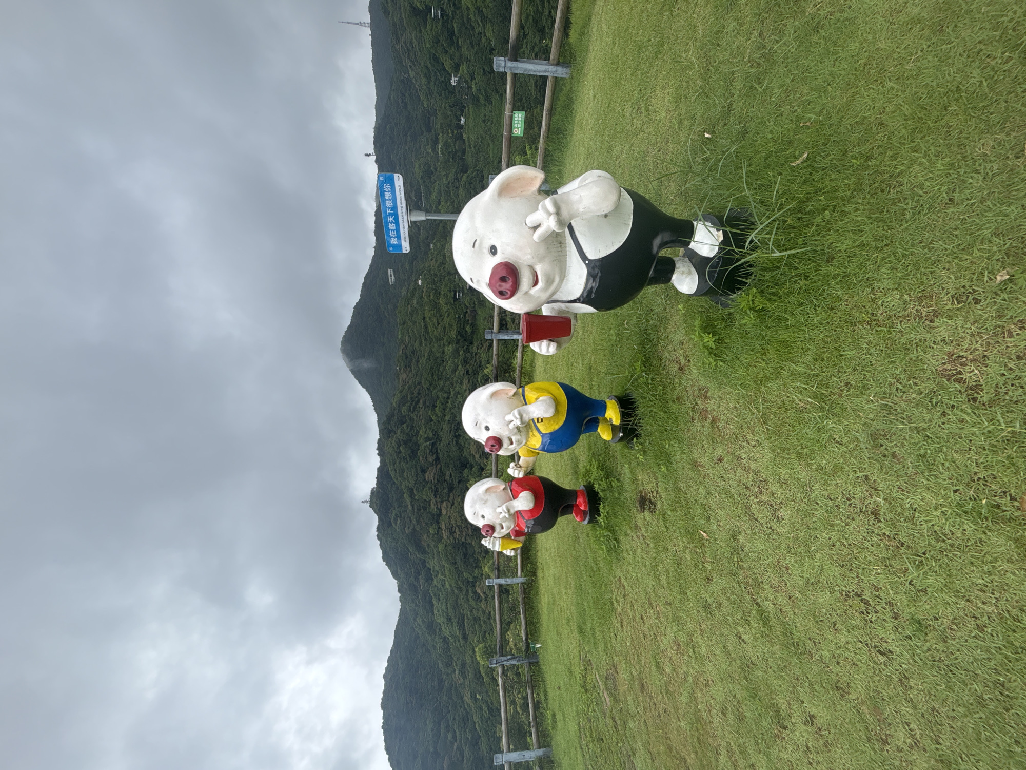 The image captures a scenic view from a grassy hilltop, overlooking lush green mountains under a cloudy sky. In the foreground, three cartoonish pig statues stand on a well-maintained lawn, separated by a wooden fence. The statues are white with pink snouts and ears. The leftmost pig wears a red shirt and black bottoms, holding a yellow object. The middle pig sports a yellow shirt and blue overalls, with a drink in hand. The rightmost pig is dressed in black overalls and is raising a hand in a peace sign while holding a red cup. A blue sign with Chinese and English text, reading "I MISS YOU VERY MUCH IN THE HANGHA WORLD," is prominently displayed behind the statues, pointing towards the mountains. The environment suggests an outdoor tourist attraction with a clear, albeit overcast, day.
