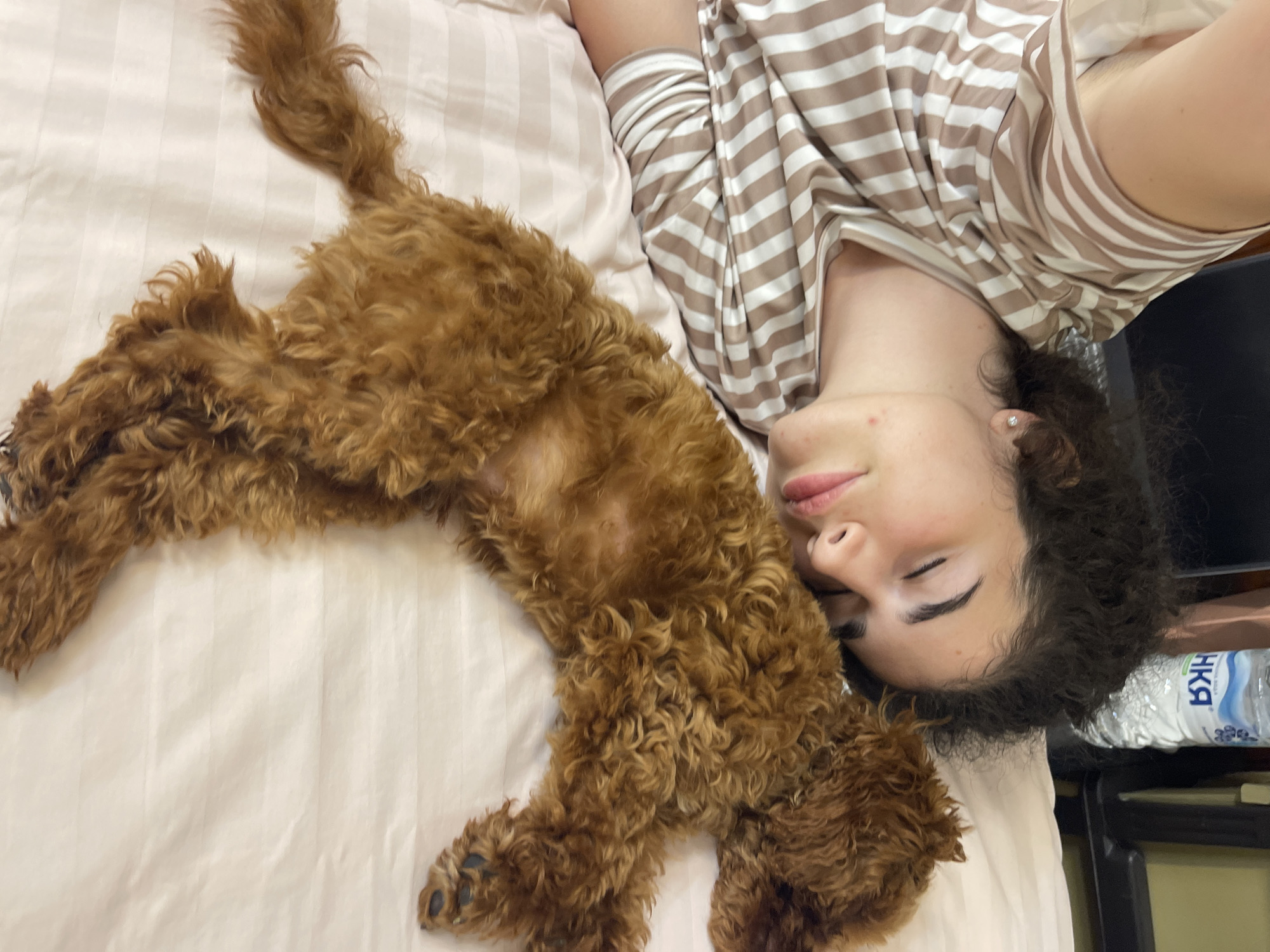 The image depicts a young woman and a small dog sleeping peacefully on a bed, presumably in a bedroom, located in Sofia, Bulgaria.
The woman, appearing to be in her early twenties, is positioned on her back with her head turned slightly to her right, eyes closed in sleep. She has dark, curly hair, fair skin, and a stud earring in her visible right ear. Minor red blemishes are visible on her chin and jawline. She is wearing a horizontally striped top with alternating light brown/tan and white bands, indicative of sleepwear. Her left arm is partially visible, bent upwards.
Adjacent to the woman, lying parallel to her, is a small, reddish-brown, curly-haired dog, consistent with a poodle or similar breed. The dog is stretched out on its back or side, also asleep, with its limbs extended and its belly partially exposed. Its dark paw pads are visible on its rear feet.
Both subjects are resting on a bed covered with light-colored (likely pale pink or off-white) sheets that feature subtle horizontal stripe patterns, suggesting a sateen or textured weave. A pillow is partially visible under the woman's head.
In the background, behind the woman's head, a clear plastic water bottle is standing upright on a dark surface, possibly a nightstand or headboard. The bottle's label clearly displays Cyrillic text, with "БЯЛА" (Biala, meaning "white") visible, indicating a Slavic-speaking country, specifically Bulgaria, given the provided location context. The lighting is soft and even, suggesting an indoor domestic setting. The overall scene conveys a quiet, tranquil moment of rest.