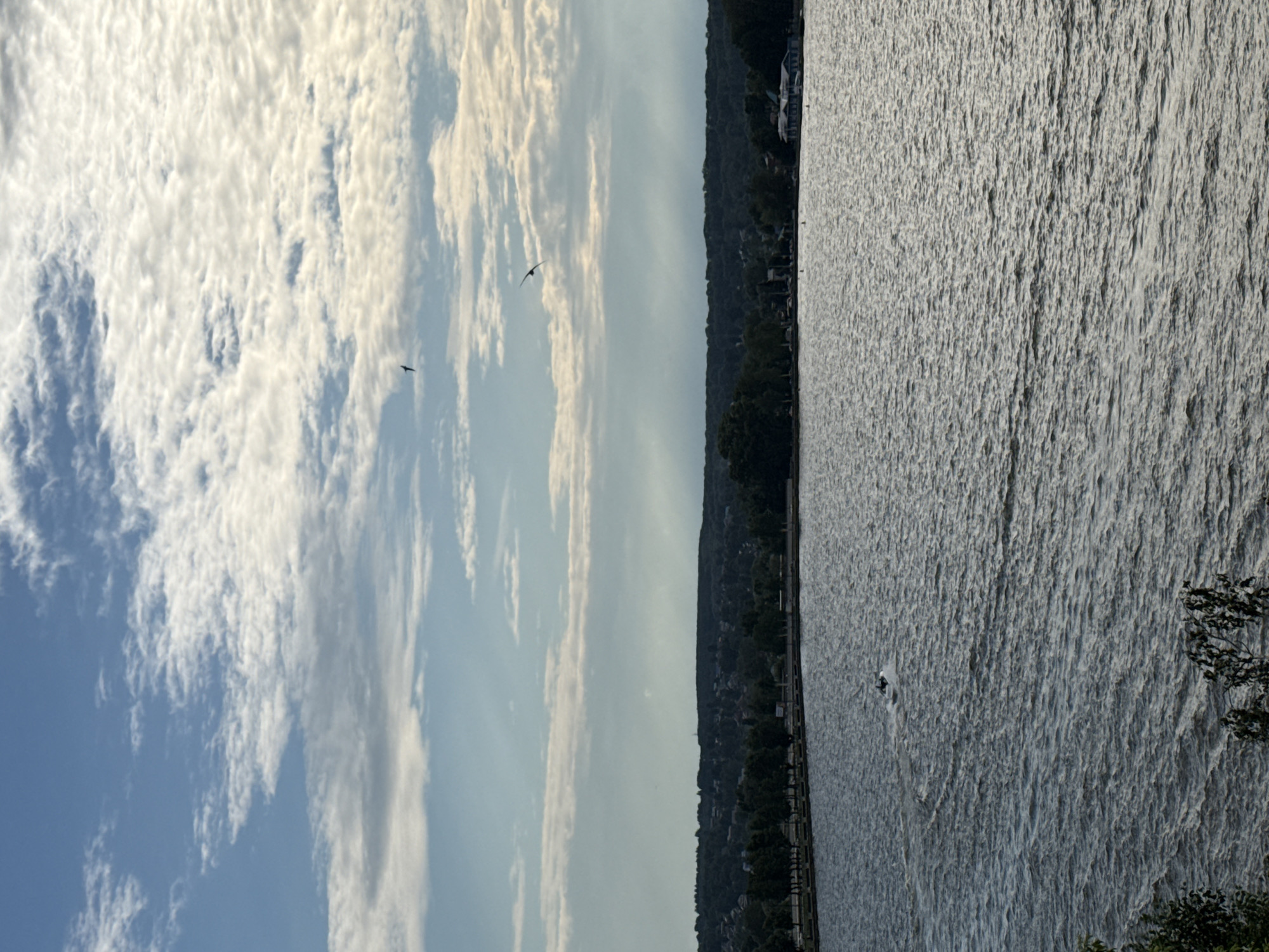 The image depicts a wide view of a body of water, likely a reservoir or large lake, under a cloudy sky. In the distance, a tree-lined shore with buildings and a hill covered in dense forest forms the background. The water's surface is rippled, indicating some wind or current. On the water, a single jet ski is visible, leaving a wake. Two dark, silhouetted birds are in flight against the sky. The scene appears to be a recreational area, possibly in the city of Votkinsk, Russia, given the presence of a sizable body of water and forested hills which are characteristic of the region.