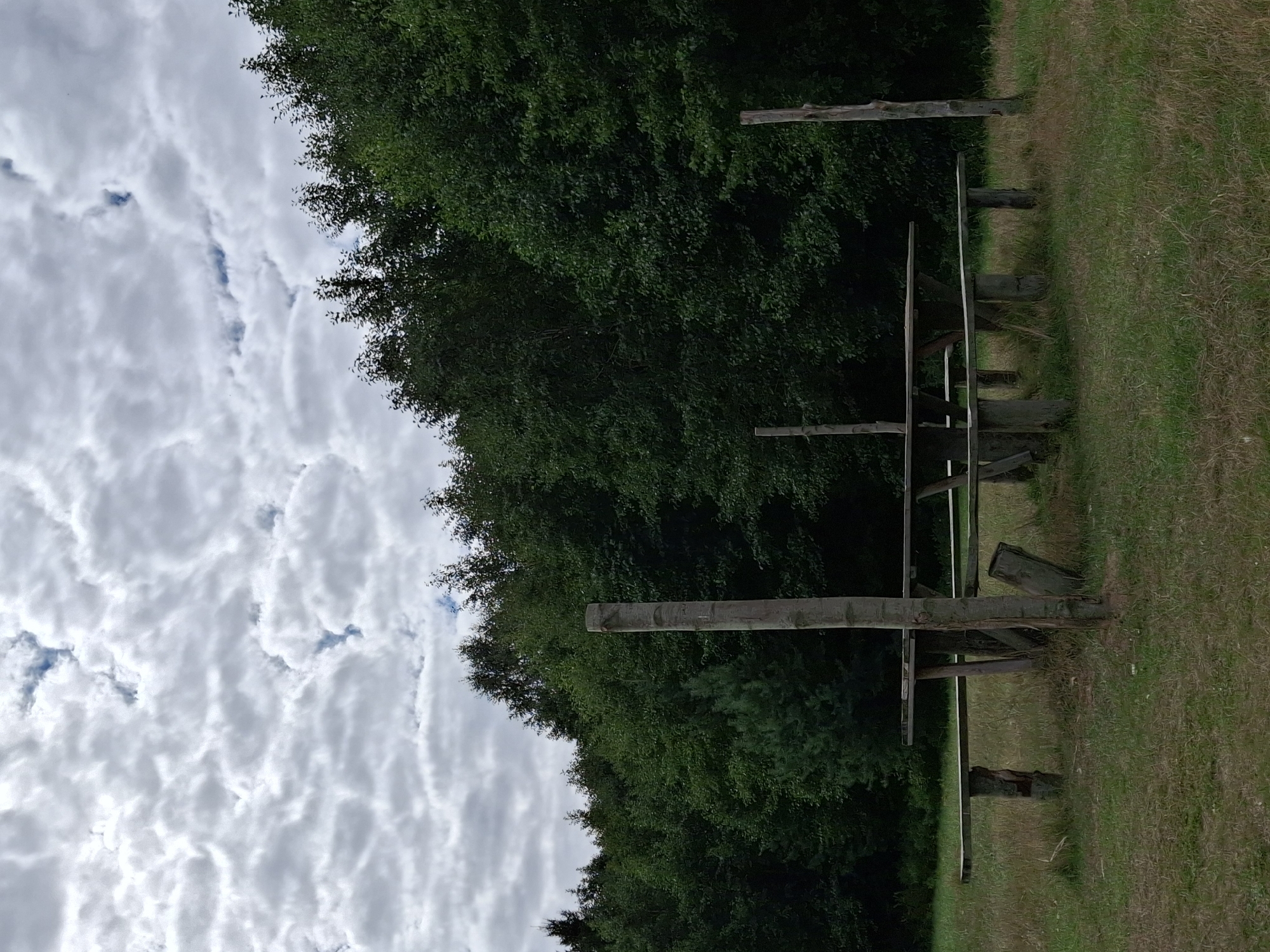 The image depicts an outdoor scene in Plishkino, Russia, featuring a wooden picnic table and benches situated on a grassy area. The picnic set is rustic, appearing weathered and constructed from rough-hewn wood. Behind the picnic area, a dense line of dark green trees forms a backdrop, with the upper portions of some trees visible against a cloudy sky. Three upright wooden posts are also present in the scene: one to the left of the picnic table, one in the middle extending upwards behind the table, and another to the far right. The ground is covered in green and dry grass, suggesting a natural, possibly park-like environment. No people are visible in the image.