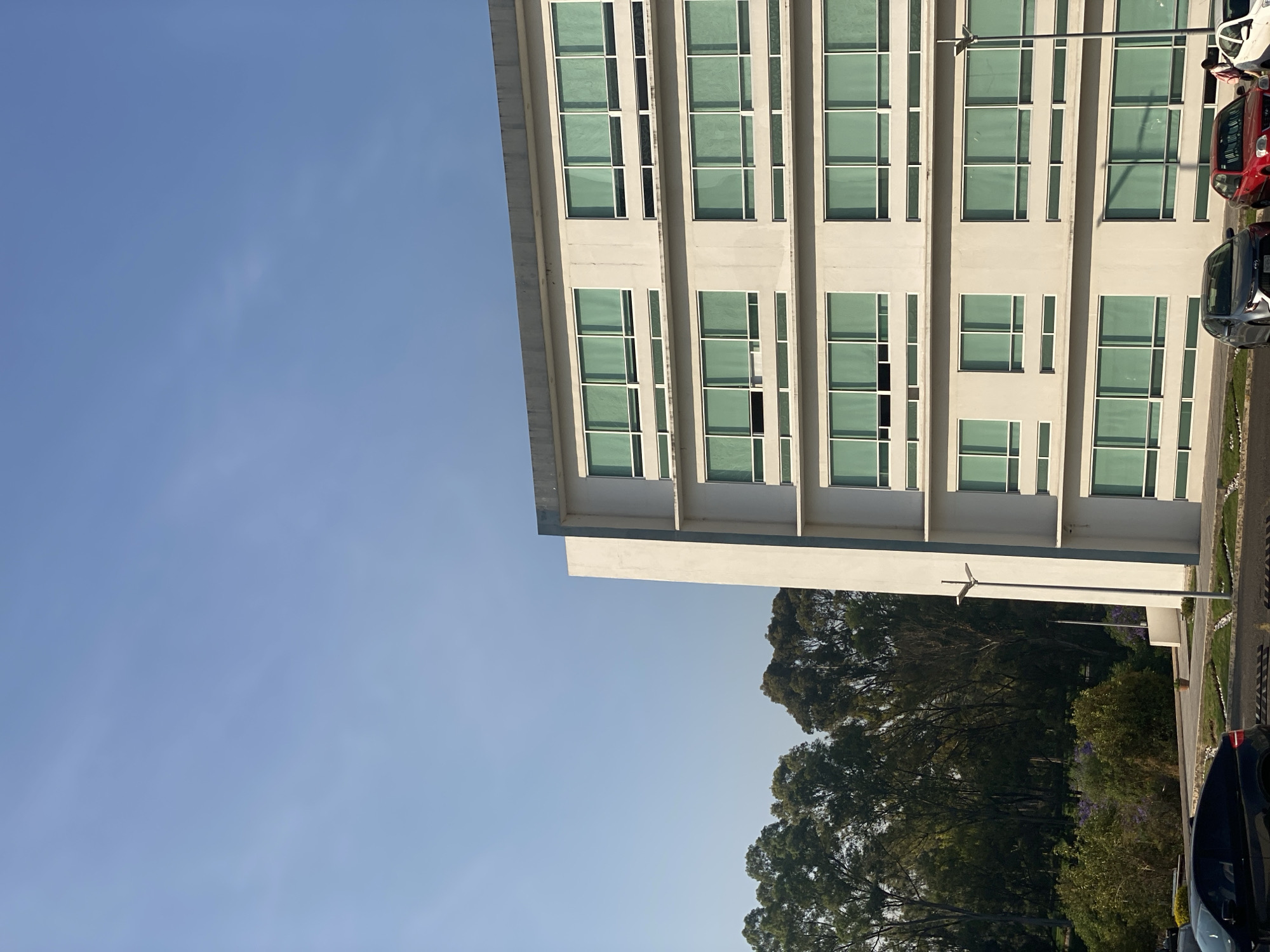The image displays a modern, multi-story building under a clear blue sky, rotated 90 degrees clockwise from its natural orientation. When upright, the building occupies the left side of the frame, constructed of light gray or white material with numerous rectangular windows that have a greenish tint. The windows are arranged in a grid-like pattern across multiple floors.
Below and to the right of the building, a lush green area filled with trees is visible. Some purple flowers can be discerned among the foliage in the distance. Further to the right, a paved area, likely a parking lot or road, runs alongside the building. Several cars are parked or driving in this area. A red car and a dark-colored car are clearly visible, along with parts of a white car. A street light pole stands near the building and the paved area.
The sky is bright and mostly clear, indicating daytime with good weather. There are no discernible people or specific activities taking place. No visible text is present in the image. The scene suggests a modern institutional or commercial environment, possibly a campus or office park, characterized by clean architectural lines and green landscaping.