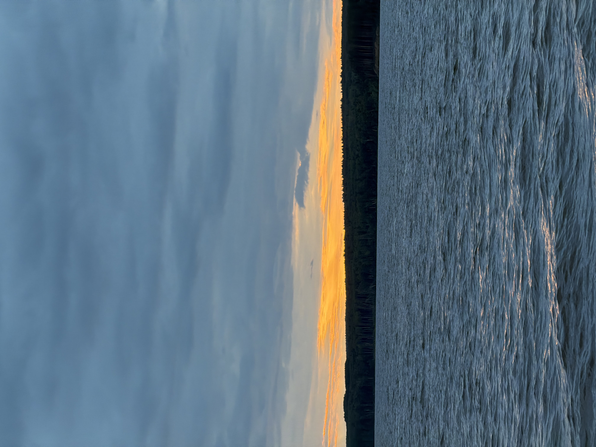 This landscape photograph depicts a natural scene at twilight, observed from the vicinity of Chaikovsky, Russia. The image is composed of three primary horizontal elements: a body of water in the foreground, a dense forest on the horizon, and an overcast sky.
The upper two-thirds of the frame display a sky filled with uniform, low-lying clouds in shades of muted blue and dark gray. A distinct, horizontal band of intense orange and yellow light, approximately 1/8th of the image height, is visible just above the treeline, indicating the low position of the sun (either setting or rising). This band presents several elongated streaks of light against the darker cloud cover.
The middle ground is defined by a continuous, dark silhouette of a dense forest, which forms the visible horizon line and spans the entire width of the image. The trees appear numerous and closely packed, characteristic of a regional forest.
The lower third of the image features a large body of dark blue-gray water. Its surface is characterized by numerous small ripples and waves, indicating surface agitation. Subtle, intermittent reflections of the orange-yellow sky light are discernible on the water's surface, particularly in the lower right quadrant.
No human figures, animals, or artificial structures are present within the observable scene.