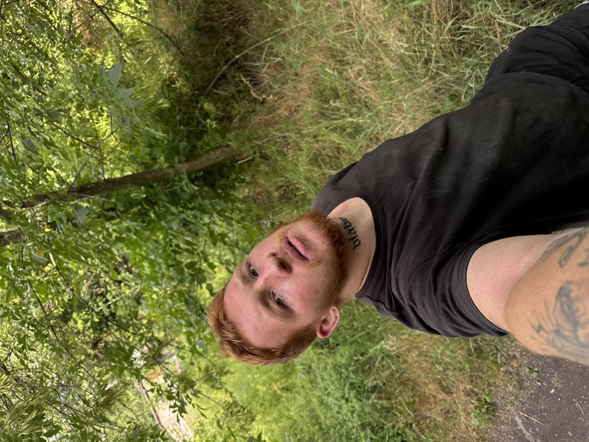 A young man with red hair and a beard is taking a selfie outdoors. He is wearing a black t-shirt. There is a tattoo on his neck that says "Diabol". His left arm is visible and has a tattoo on it. The background is a natural environment with trees and grass. The image appears to be taken during the day.