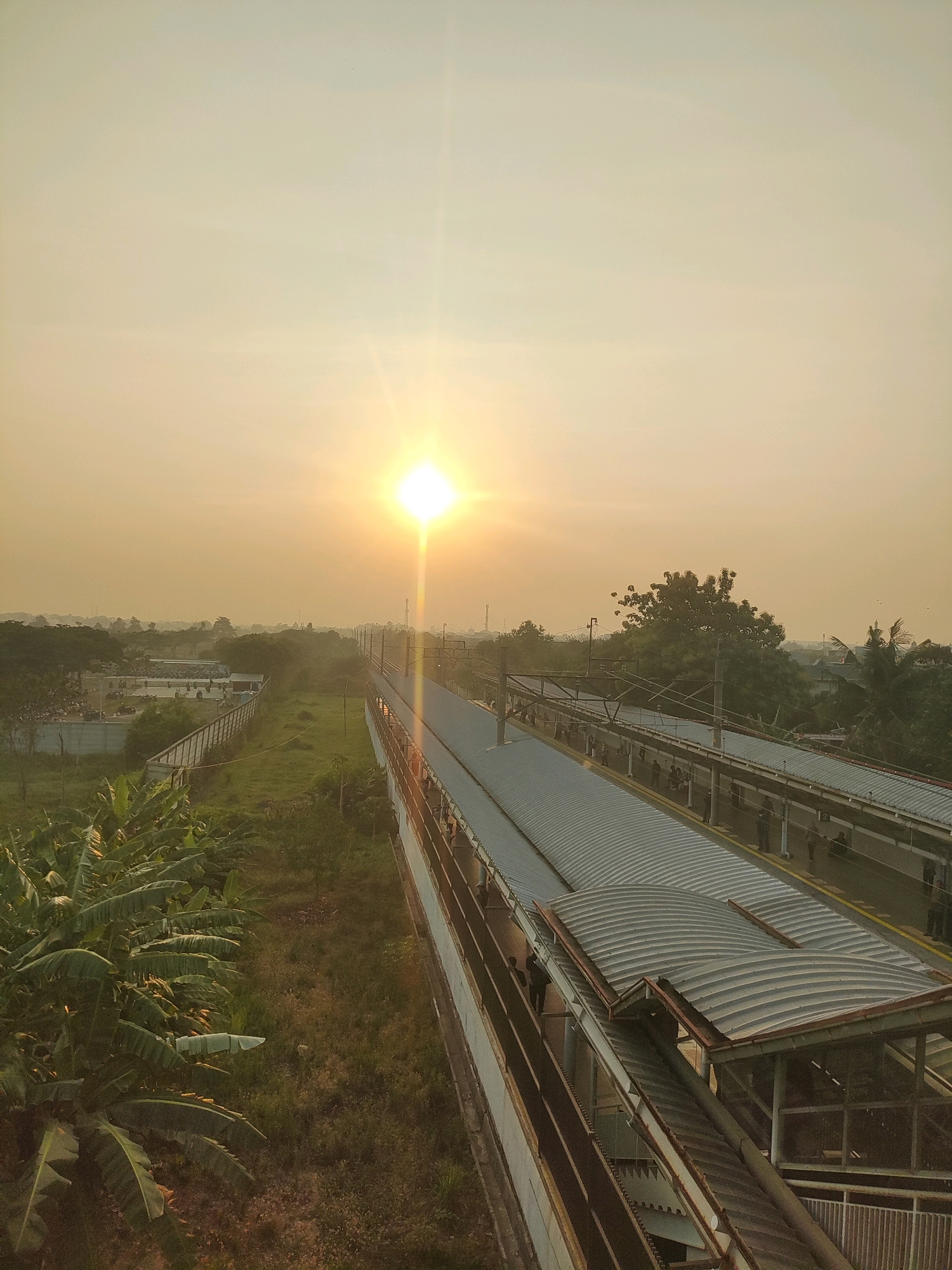The image shows a view of a train station in Telagamurni, Indonesia, during what appears to be sunrise or sunset due to the warm, hazy sunlight and the low angle of the sun. The sun is prominent in the upper central part of the sky, casting a bright glare. In the foreground, to the left, is a dense cluster of banana trees with large green leaves. Adjacent to the trees is a grassy area with some sparse vegetation. To the right, a long, covered train platform stretches into the distance, its corrugated metal roof gleaming in the light. A set of train tracks runs alongside the platform.
Further in the background, beyond the train station, are more trees and buildings, suggesting an urban or semi-urban environment. A fence separates the grassy area from what looks like a parking lot or open space with numerous parked vehicles and people scattered throughout. Power lines and poles are visible in the distance. The sky is a pale yellow-orange, indicating atmospheric haze or pollution, common in many Indonesian cities. Several people are visible on the train platform, standing or walking. The overall scene depicts a typical functional transportation hub integrated with its tropical environment.