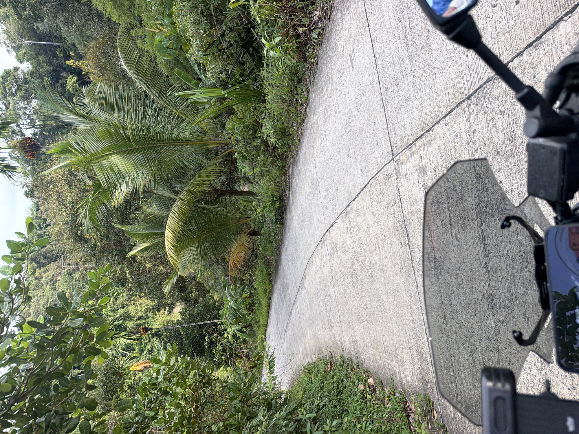 The image depicts a concrete road winding through a lush, tropical landscape. The road surface is marked with expansion joints and shows signs of wear. On either side of the road, dense vegetation thrives, with various types of trees, including palm trees with their characteristic fronds, and leafy bushes. The foliage is predominantly green, indicating a humid, warm climate. In the background, a hillside covered in thick forest rises steeply. The sky is partly cloudy, with diffused sunlight suggesting it is daytime. The perspective suggests the photo was taken from a moving vehicle, likely a motorcycle, as the handlebars, windshield, and a smartphone mount are visible in the foreground. The overall scene is one of natural beauty and remote tranquility, consistent with a rural or semi-rural area in Baan Tai, Thailand.