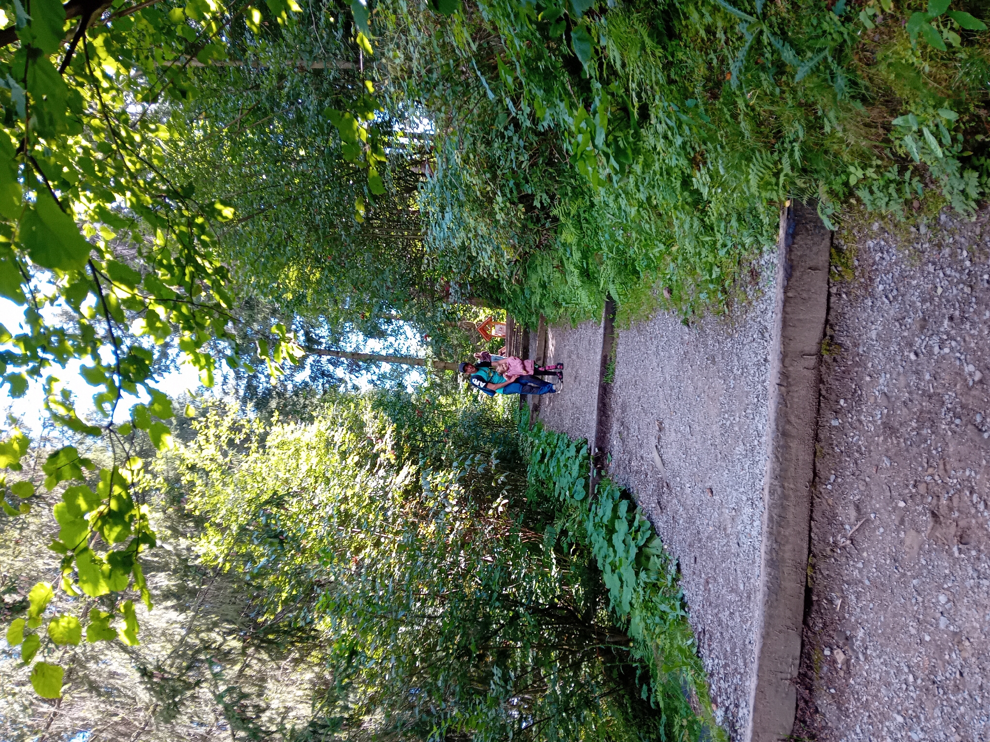 The image depicts a natural scene, likely a hiking trail in or around Zuberec, Slovakia. A gravel path with wooden retaining walls winds uphill through a dense forest. Sunlight filters through the leafy canopy, illuminating the path and surrounding vegetation. Two individuals, a woman and a young child, are walking up the trail. The woman, wearing a backpack, is in the lead, while the child, dressed in pink, follows closely behind. The environment is characterized by lush green foliage, including trees, bushes, and ferns, suggesting a temperate climate and a well-maintained natural area. The overall impression is one of a peaceful outdoor excursion.