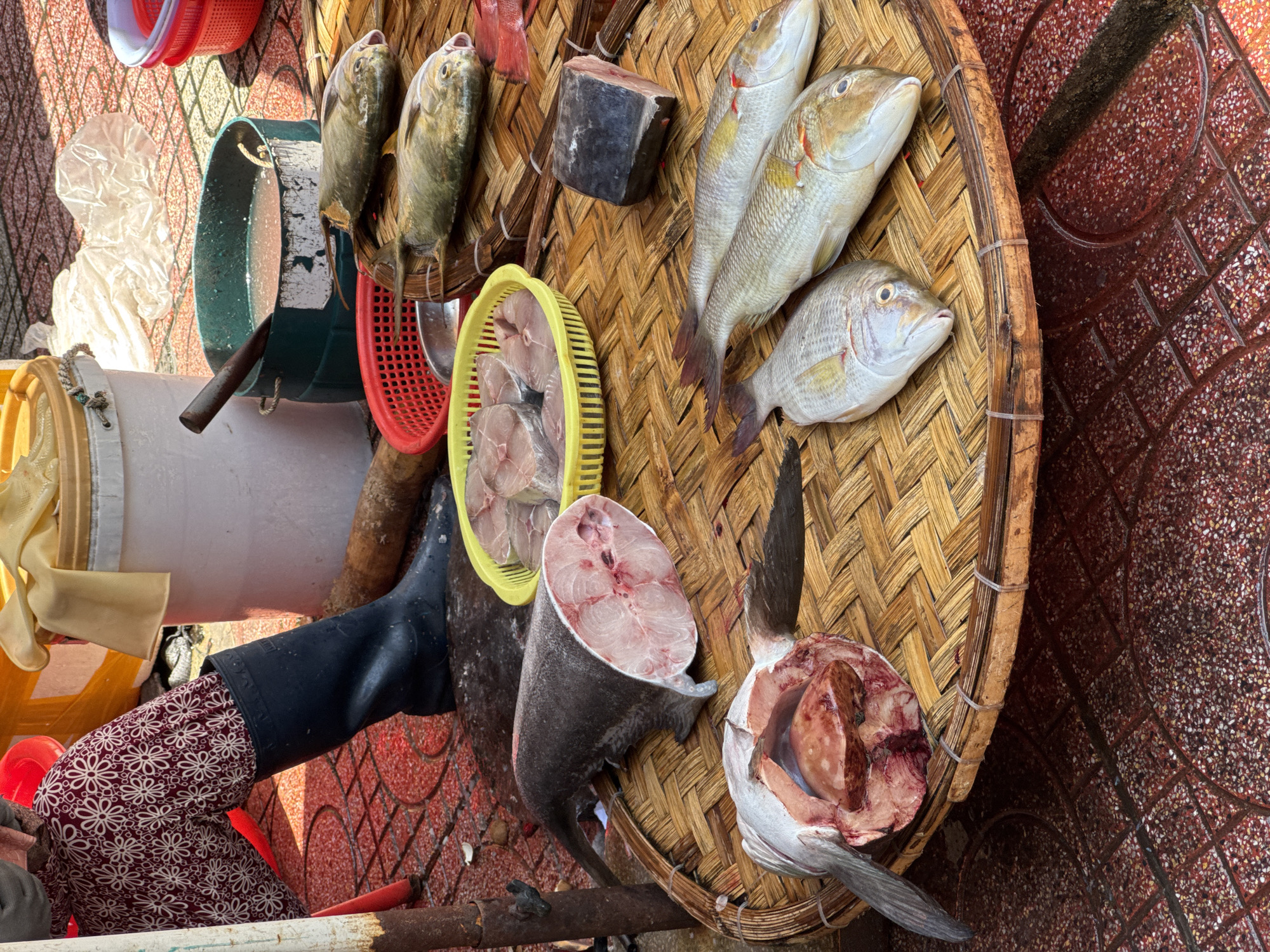 At a fish market in Nha Trang, Vietnam, a person in patterned trousers and black rubber boots sits on a red stool, partially visible, next to a large white bucket. A woven bamboo tray, central to the scene, displays a variety of fish. To the left, a large, thick cut of fish, possibly tuna or swordfish, lies with its flesh exposed, revealing a pink hue. Beside it, the head and torso of another large fish are open, showing its internal organs. On the right side of the tray, three whole fish with silvery scales and reddish fins are arranged. Behind these, another section of dark-skinned fish rests. In the background, a green bucket contains murky water and a wooden implement. A yellow plastic basket holds several slices of fish, and red plastic baskets are stacked to the right. The ground is paved with red tiles.