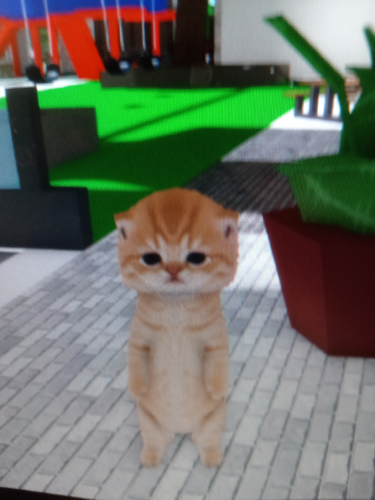 A digital rendering of an orange tabby kitten stands on a grey tiled floor. The kitten has black eyes and a small pink nose. Behind the kitten, a blurred green background suggests a grassy area. To the left of the kitten, a dark grey object, possibly a piece of furniture, is visible. To the right, a large, dark red object, resembling a planter, is partially obscured by the kitten. The scene appears to be indoors or within a controlled environment, with the digital nature of the image evident. There are no people present. The location is not specified in the provided image or context.
