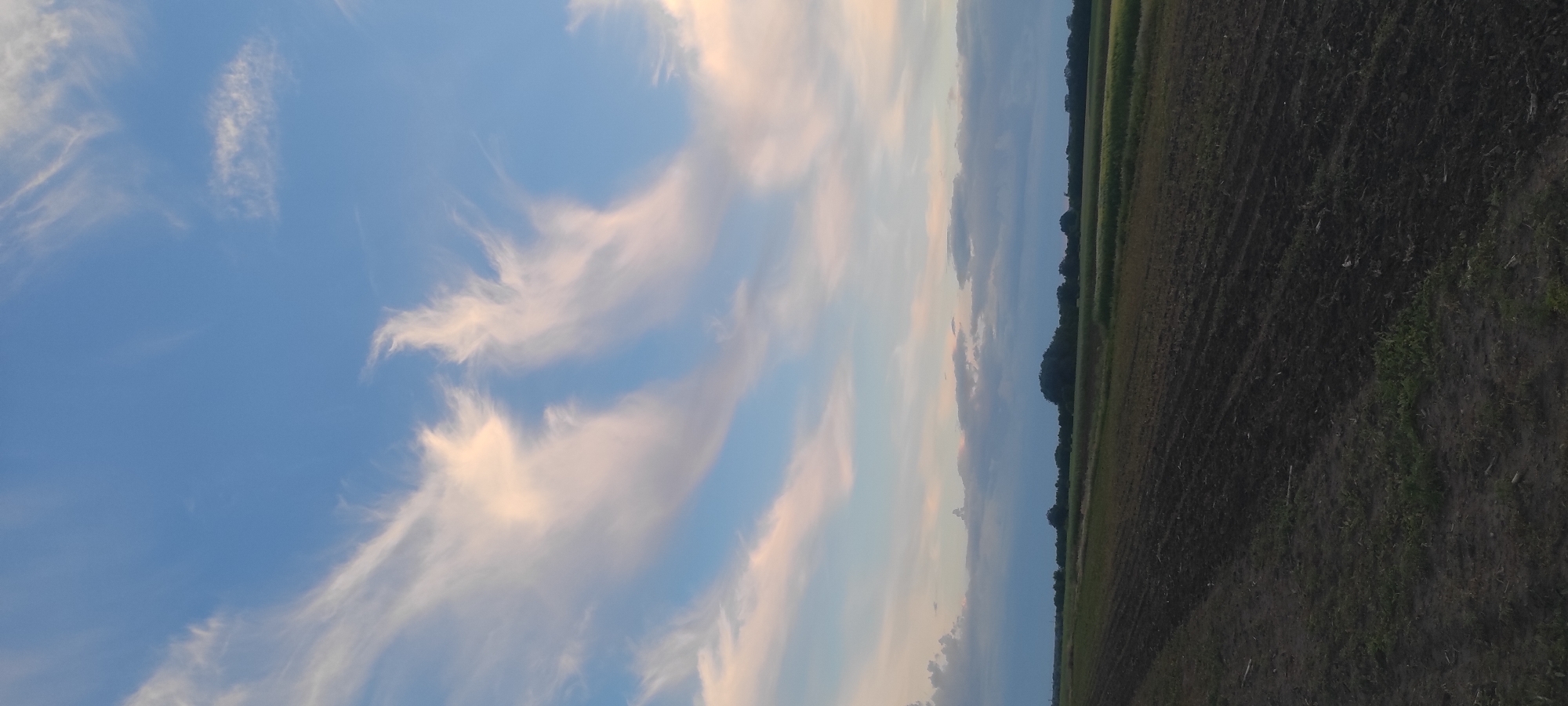 A vertical, medium-shot, eye-level photograph captures a wide expanse of a field under a twilight sky. The foreground is dominated by dark, tilled soil, showing the distinct patterns of plowing. A strip of green grass runs along the far left edge of the field. Beyond the tilled earth, the landscape transitions into fields of green crops. A line of trees forms a distant horizon, with a mound covered in trees slightly left of center. The sky above is a gradient of soft blue and pink hues, featuring wispy white clouds that are illuminated by the setting sun. The image was taken in Kobeliachok, Ukraine, during the evening. There are no people or animals present in the scene.