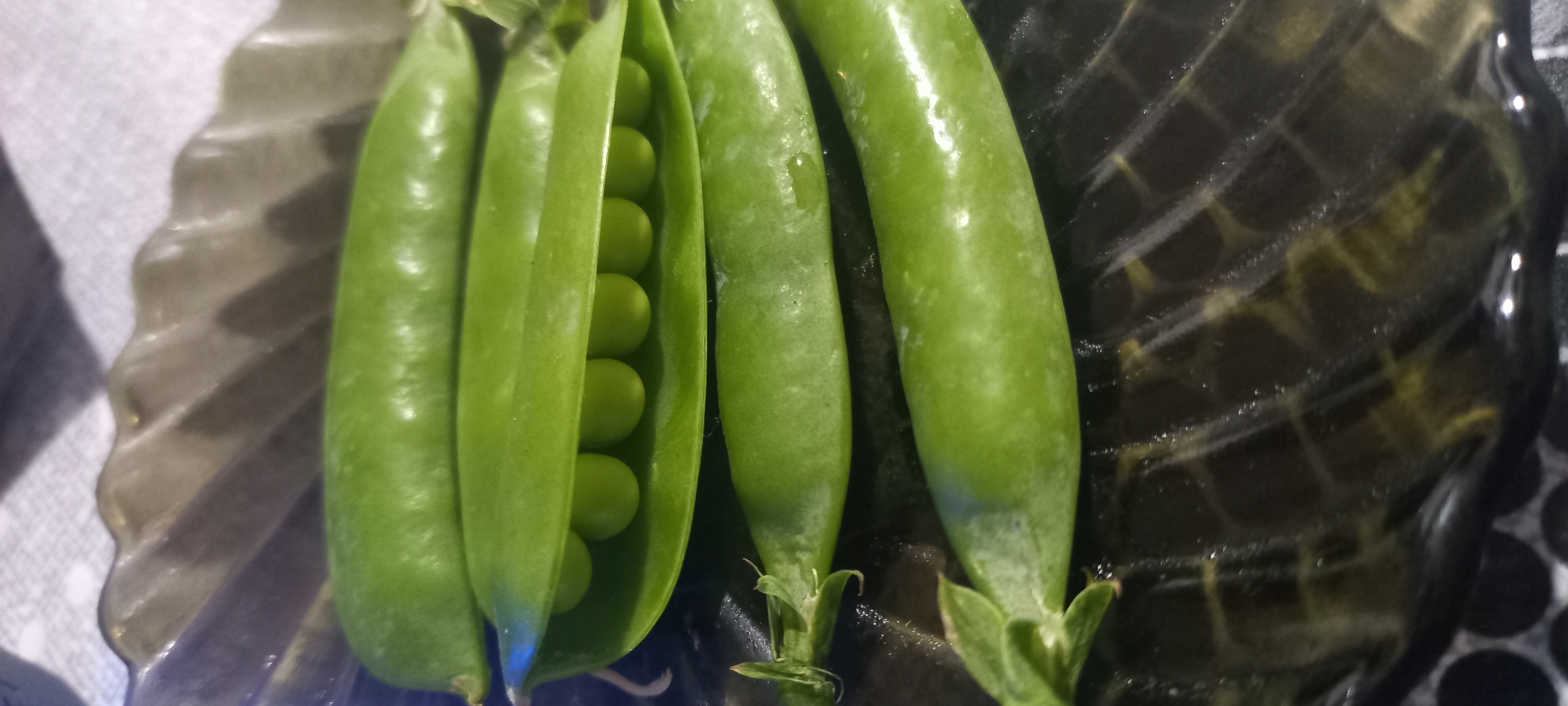 The image shows a close-up, overhead view of four fresh pea pods arranged on a dark, textured, possibly glass or plastic, serving dish. The dish has a ribbed or fluted edge and a pattern on its surface that reflects light. Three of the pods are closed, while the top pod is partially opened, revealing a row of seven perfectly round, green peas inside. The peas appear plump and vibrant. The background consists of a lighter-colored, textured surface, possibly a tablecloth, with a blurred pattern of dots. The scene is well-lit, highlighting the freshness and detail of the peas. There is no indication of the city of Kryvyi Rih, Ukraine, in the image.