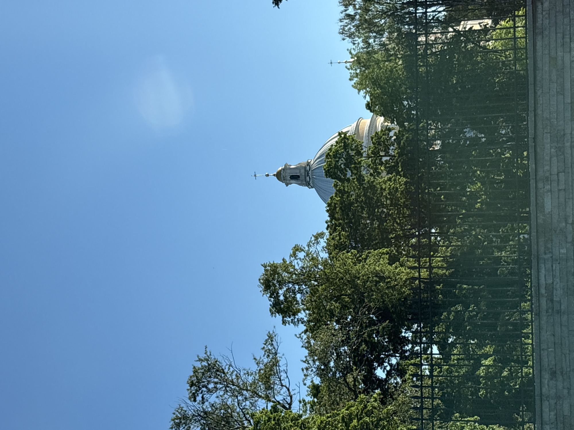 This image depicts a clear blue sky over a tree-lined perimeter, revealing the upper portion of a large architectural structure. In the upper half, the sky is uniformly bright blue, with a faint, diffuse, circular light anomaly visible in the upper right quadrant. A small dark speck, likely a distant bird or insect, is discernible in the upper left sky.
The middle ground is dominated by a dense canopy of lush green trees, obscuring the lower portions of the architectural structure. Above the trees on the left, the prominent dome of **Trinity Cathedral (Troitsky Sobor)** in Saint Petersburg, Russia, is visible. The dome is light gray or white, surmounted by a multi-tiered cupola with a small golden dome and a black Orthodox cross. To the right, another smaller black cross is barely visible above the trees, suggesting another part of the cathedral complex.
The foreground features a black wrought-iron fence with pointed finials, running horizontally across the lower part of the image, partially obscured by the foliage. Below the fence is a horizontal stone or concrete wall composed of rectangular blocks. The scene is brightly illuminated, indicating daylight conditions.