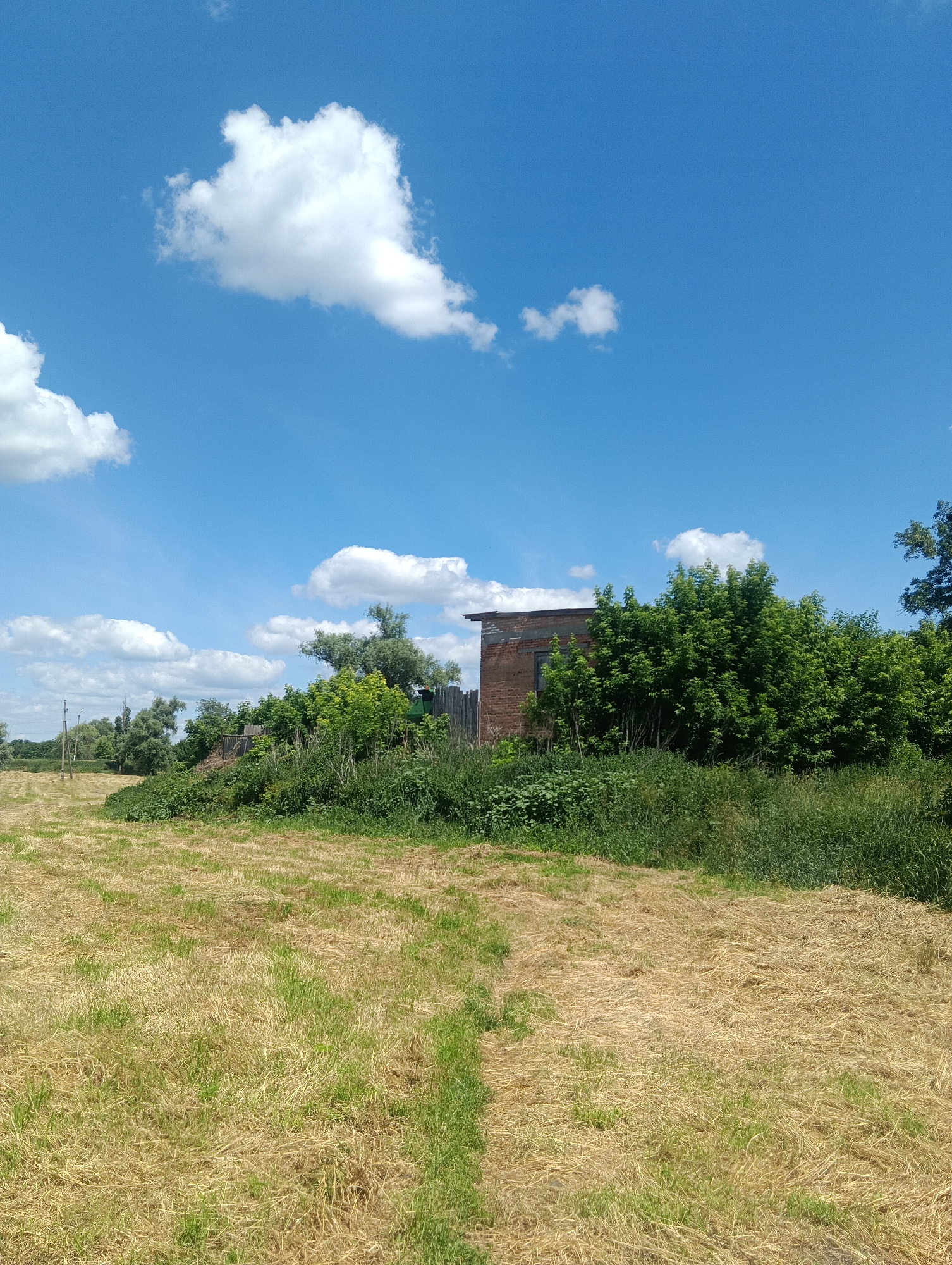An outdoor, medium shot captures a dry, mowed field in the foreground under a bright blue sky dotted with fluffy white clouds. A path is visible leading into the field from the lower center of the image. The middle ground features a dense line of green foliage, including trees and bushes, with a rustic wooden fence running along it. Behind the foliage, a small, brick building with a dark roof and a window is partially visible. The background shows more greenery and trees, with a telephone pole visible to the far left. The overall scene depicts a rural or semi-rural environment on a sunny day.