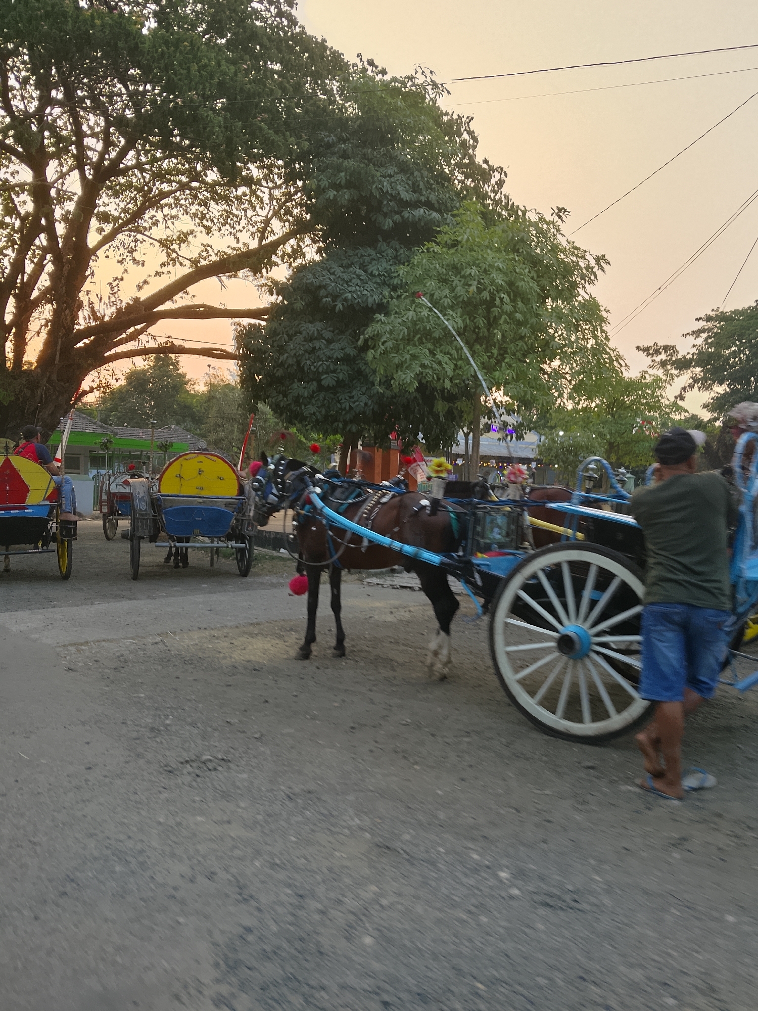 The image depicts a street scene in Balun, Indonesia, with several horse-drawn carriages, known as "andong," lined up. The time of day appears to be late afternoon or early evening, given the soft, warm light filtering through the trees and illuminating the sky. The ground is paved with a mix of gravel and asphalt.
In the foreground, a brown horse is harnessed to a blue and white andong, its large white spoked wheel prominently visible. A man in a green t-shirt and blue shorts stands next to the carriage, facing away from the camera. Further back, other andong are visible. One has a yellow and blue carriage with a driver. The carriages are decorated with colorful trim and banners.
Lush green trees with large branches frame the scene, with some foliage in the background suggesting a village or town setting. Overhead, power lines are strung across the sky. The overall atmosphere is one of a rural or semi-urban area preparing for the evening, with these traditional modes of transportation awaiting passengers.