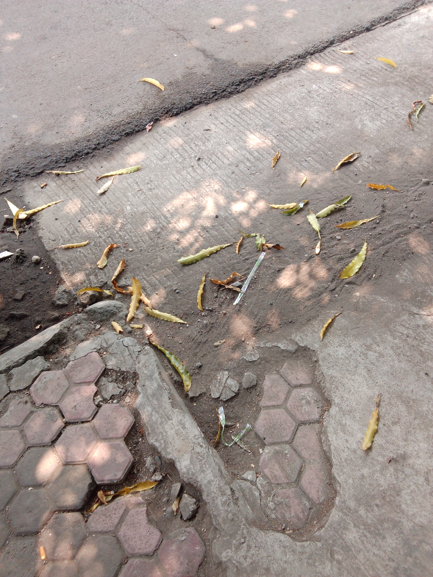 The image shows a section of a sidewalk and adjacent asphalt road in Trenggalek, Indonesia, littered with fallen leaves, some of which are yellow and dry, while others are green. The ground is a mix of rough asphalt, grooved concrete paving, and hexagonal brick pavers. Some of the concrete and brick paving is cracked and uneven, with soil and debris visible in the gaps. A few small pieces of litter, including what appears to be a plastic straw, are also scattered on the ground. Sunlight casts dappled shadows from unseen foliage onto the surfaces. The scene depicts an outdoor urban environment that has accumulated natural debris and some man-made waste.